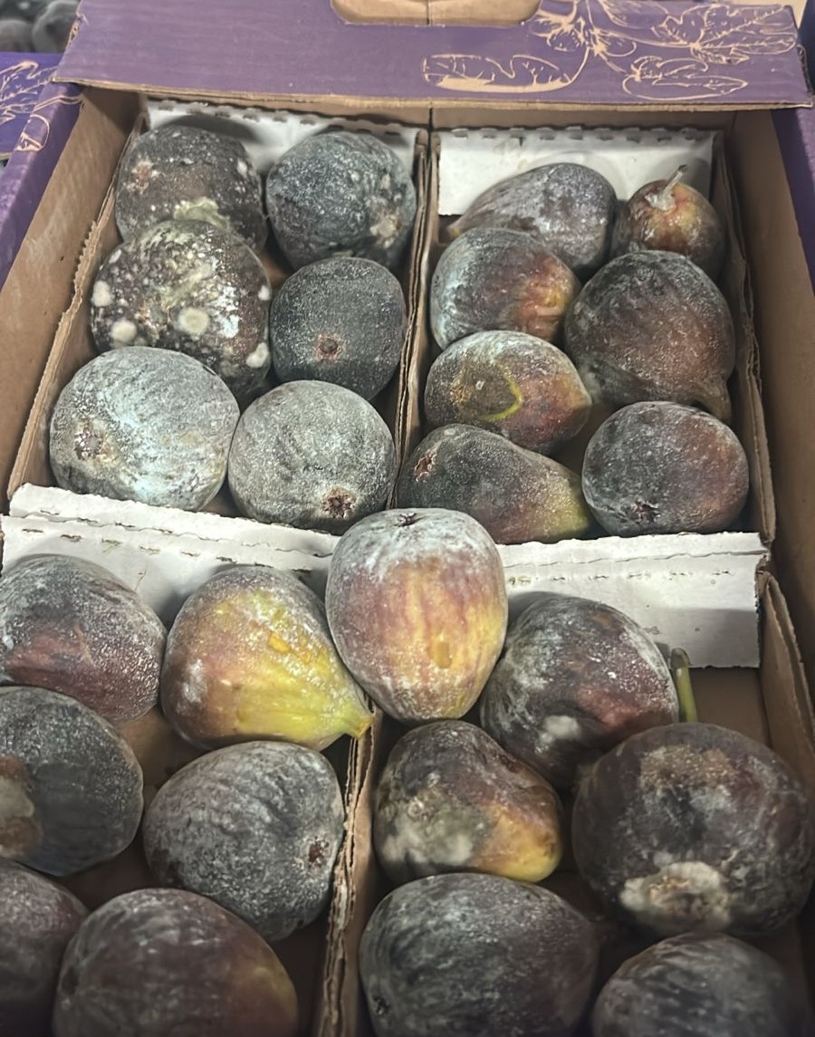 Comerciantes da CEAGESP contabilizam prejuízos após três dias sem energia