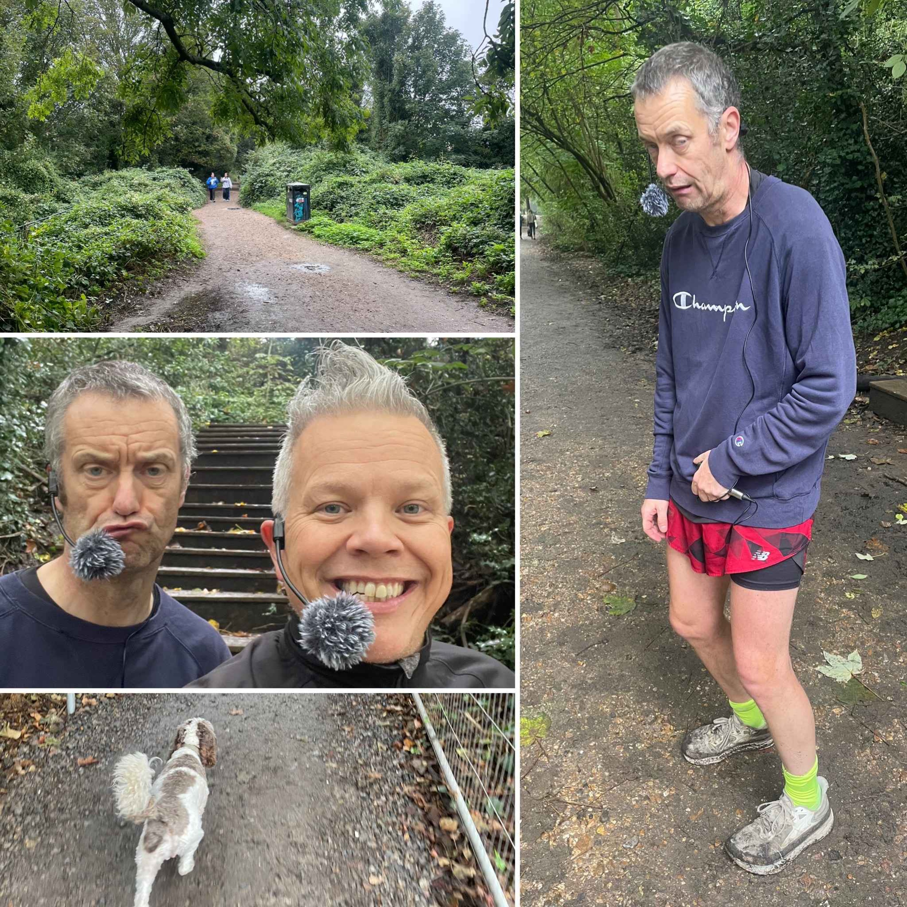 High Hopes And Questionable Conditions