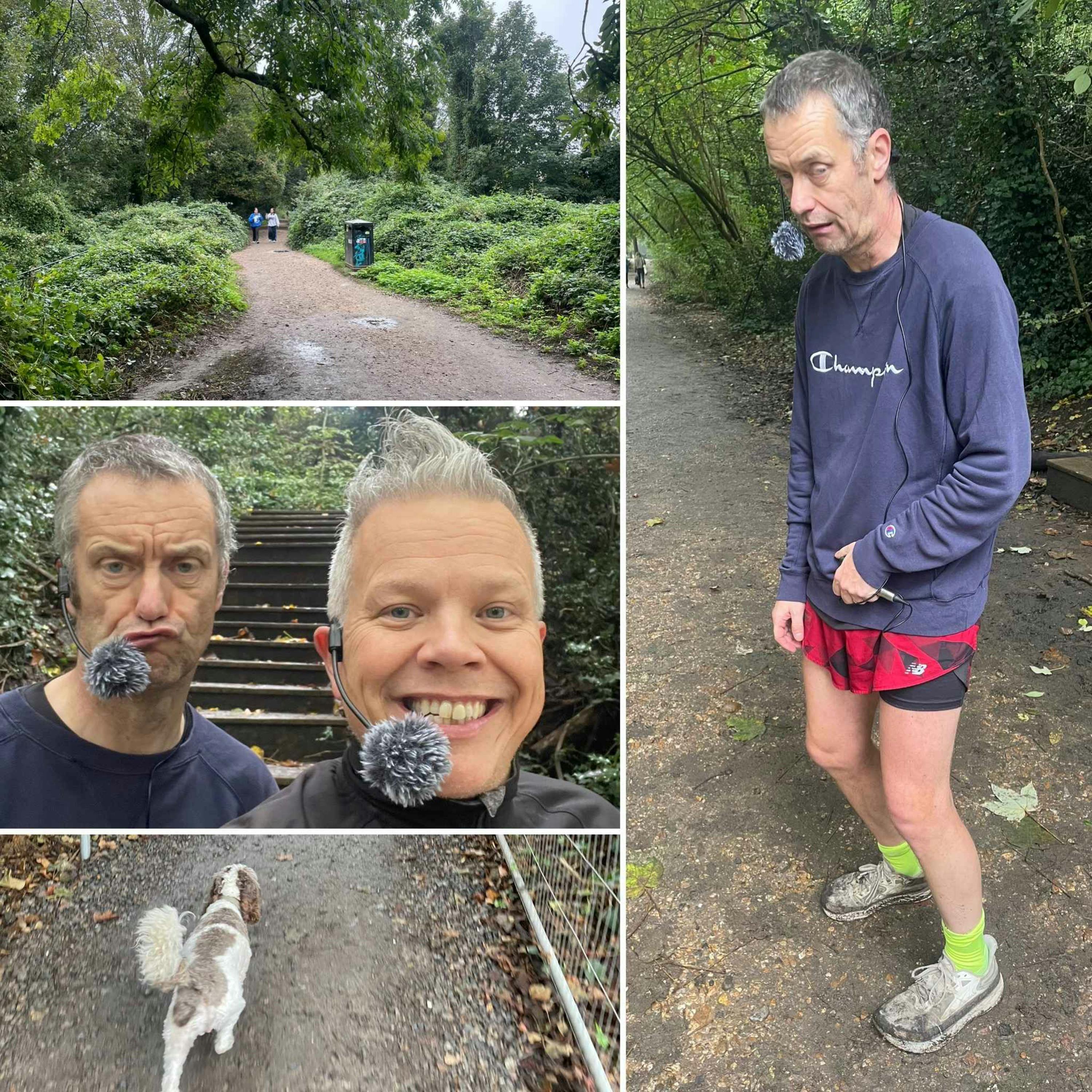 High Hopes And Questionable Conditions