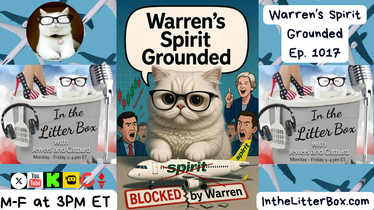 Warren's Spirit Grounded | In the Litter Box w/ Jewels Jones & Catturd – Ep. 1017 5/4/2026