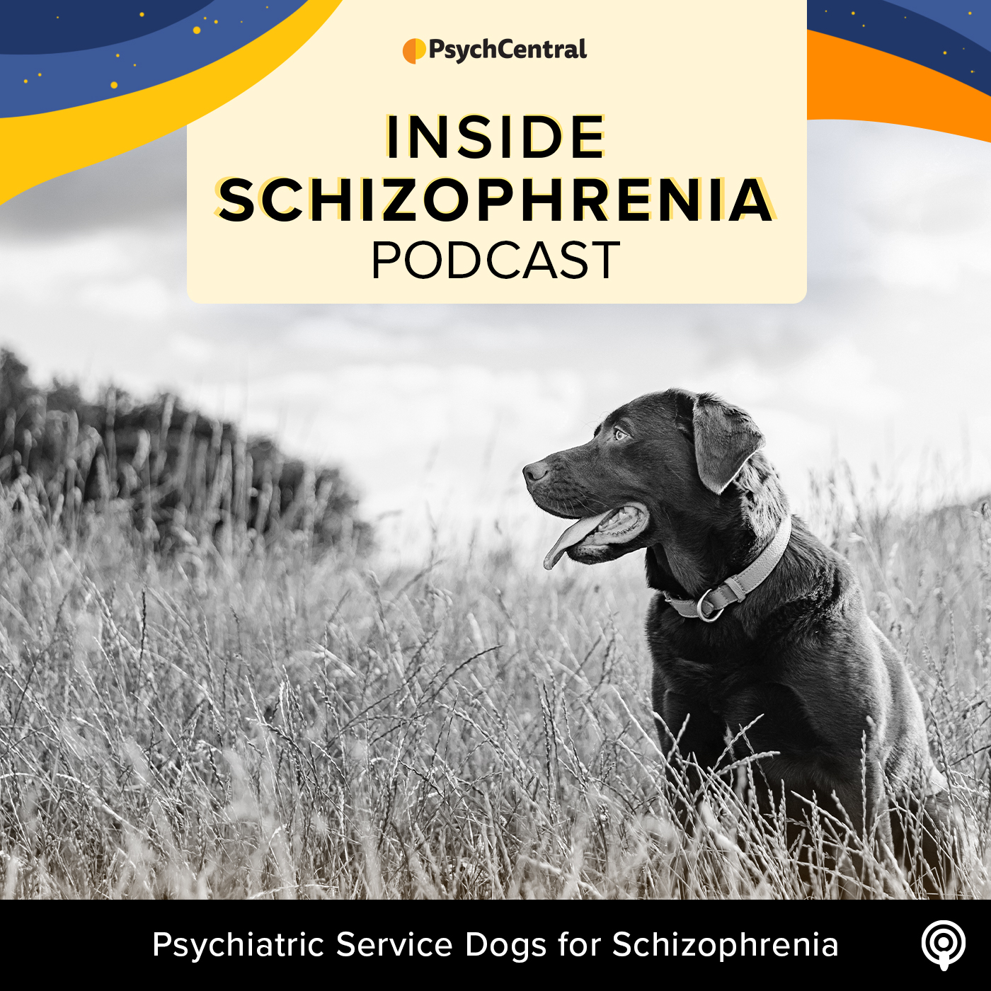 Psychiatric Service Dogs for Schizophrenia