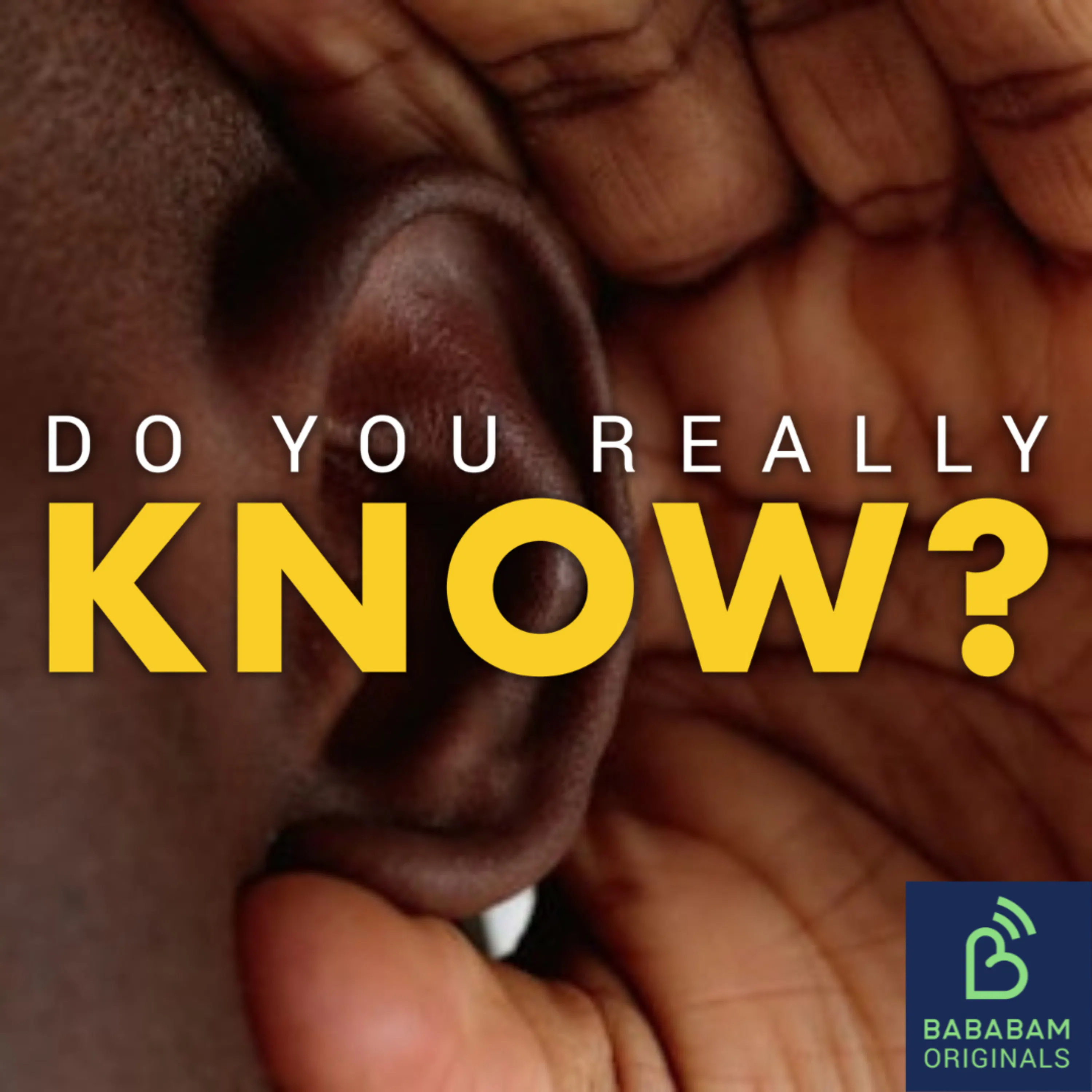 Cover art for the episode "Why are my ears ringing?" from Do you really know?
