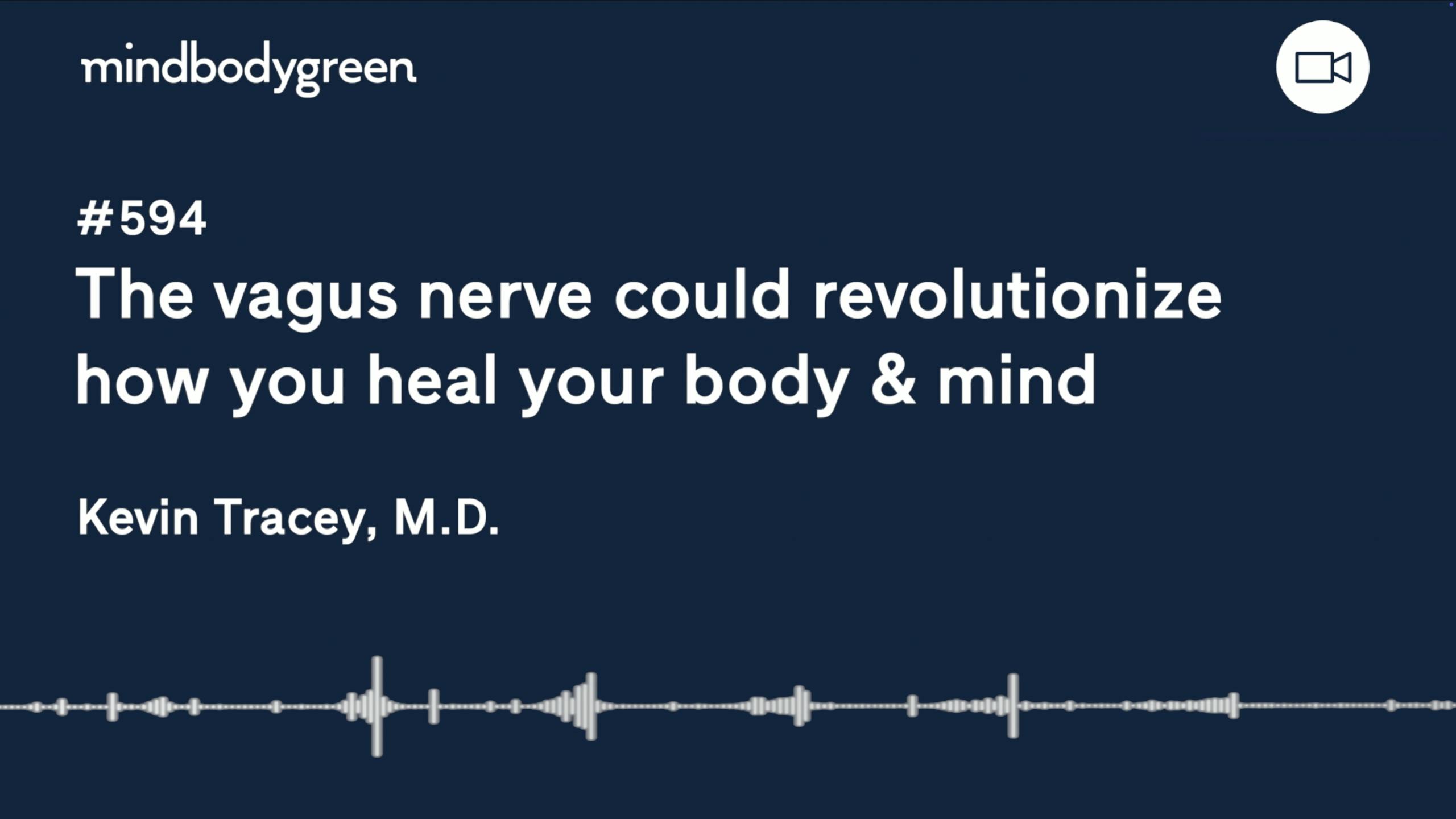 594: The vagus nerve could revolutionize how you heal your body & mind | Kevin Tracey, M.D.