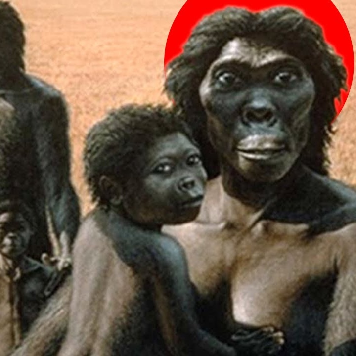 42. A Brief History Of The Homo Species That Changed Human Evolution Forever: Homo Habilis | A Day In History episode artwork
