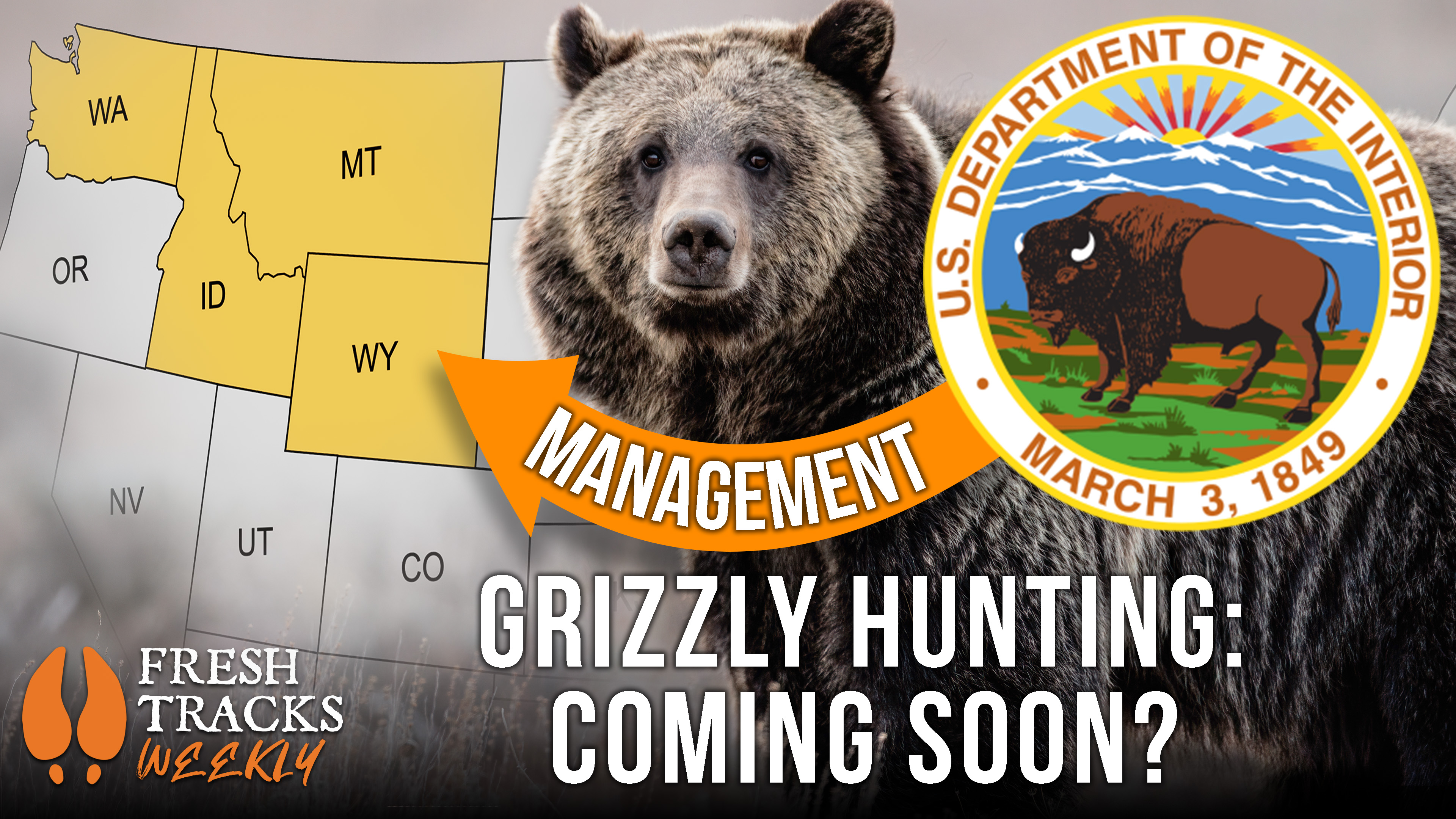 The Future of State-Managed Grizzly Bears | Week of August 3rd episode artwork