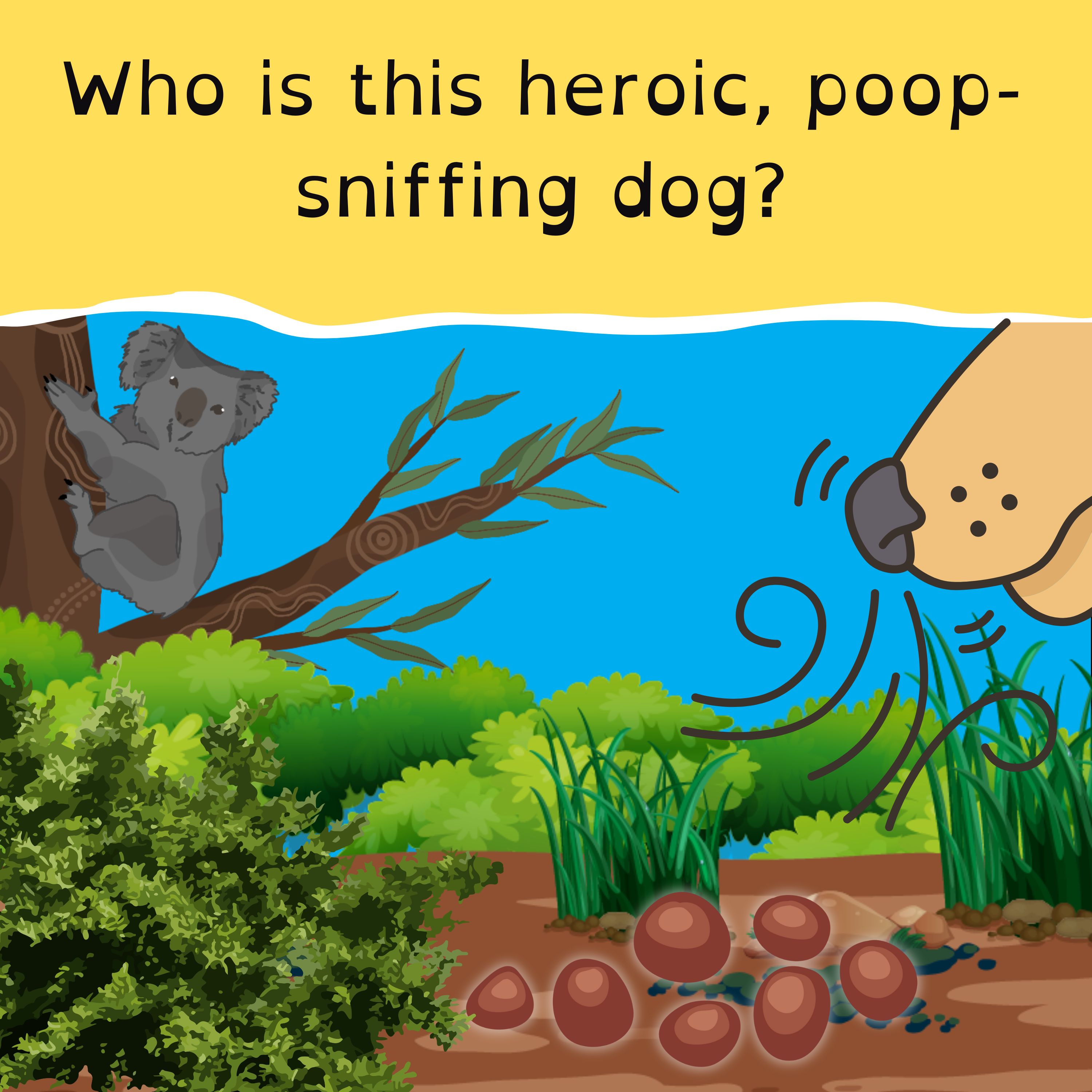 Brisbane battens down the hatches; Oscars fever takes LA; NRL kicks off in Vegas; and tracking koalas by their poo.