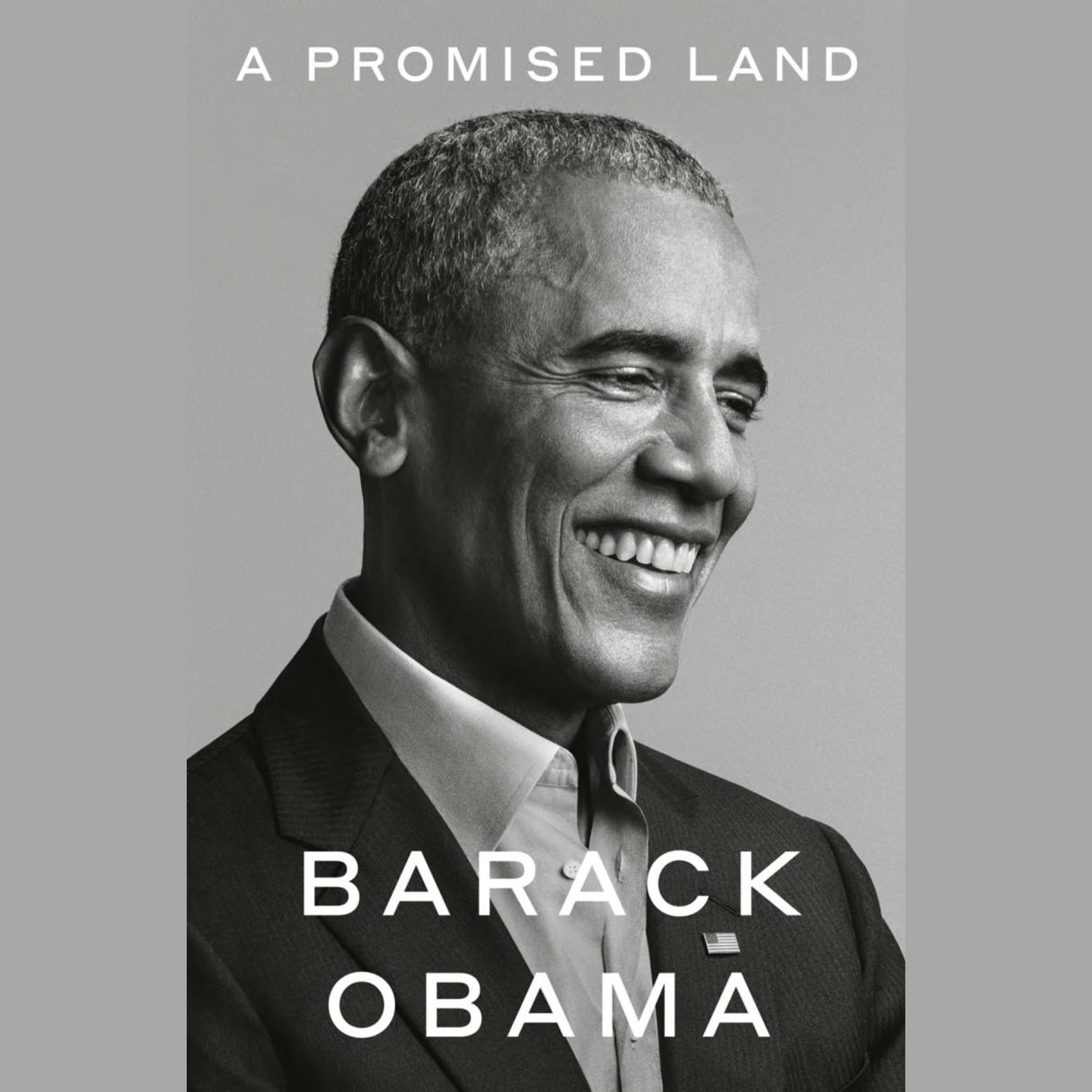 Ein verheißenes Land Zusammenfassung | Barack Obama