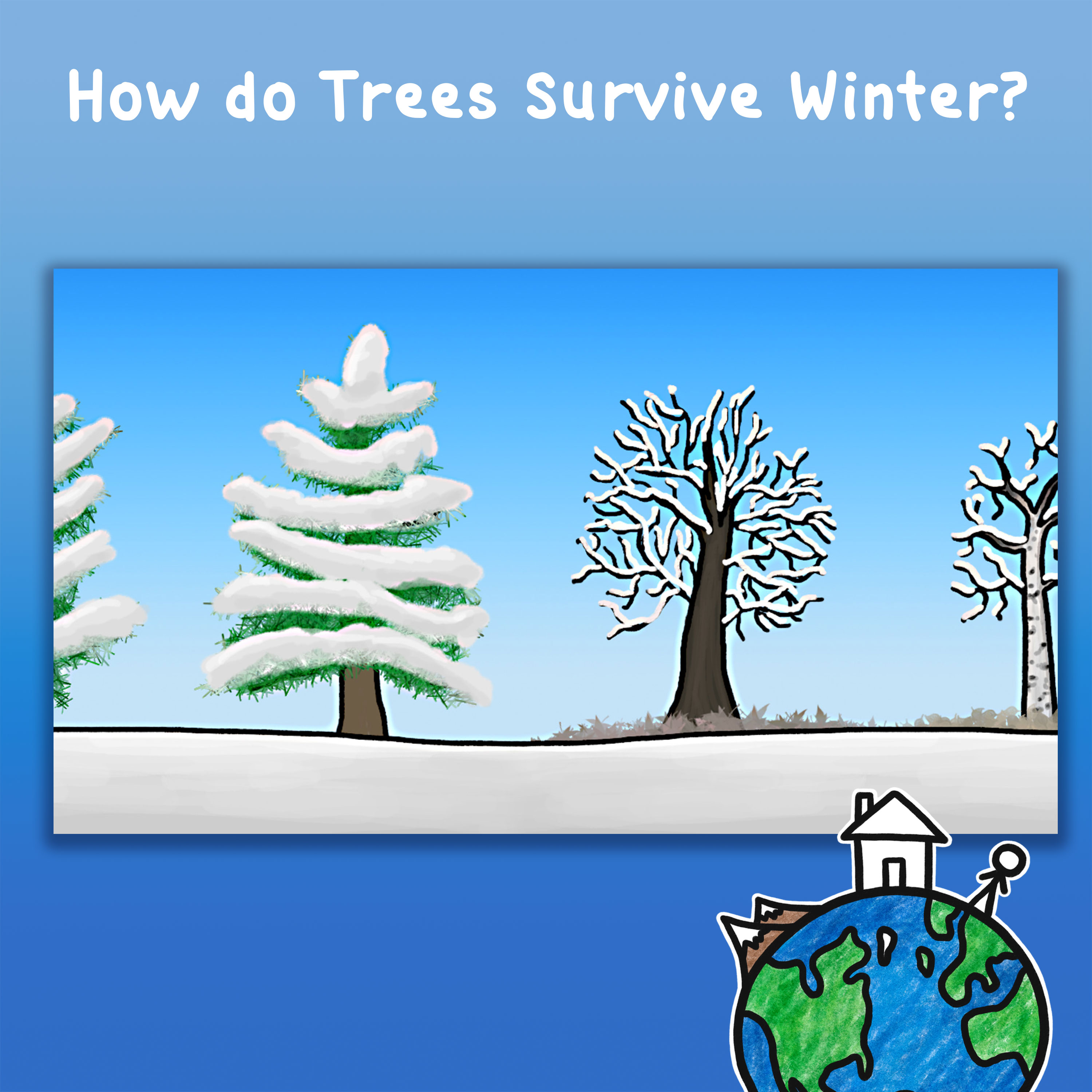 How do Trees Survive Winter?