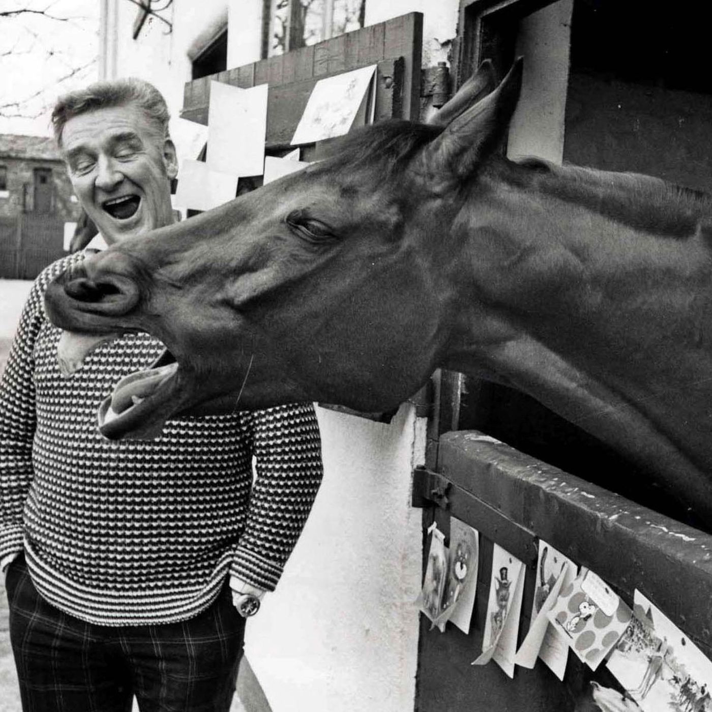 5: Remembering the greatest Grand National moments