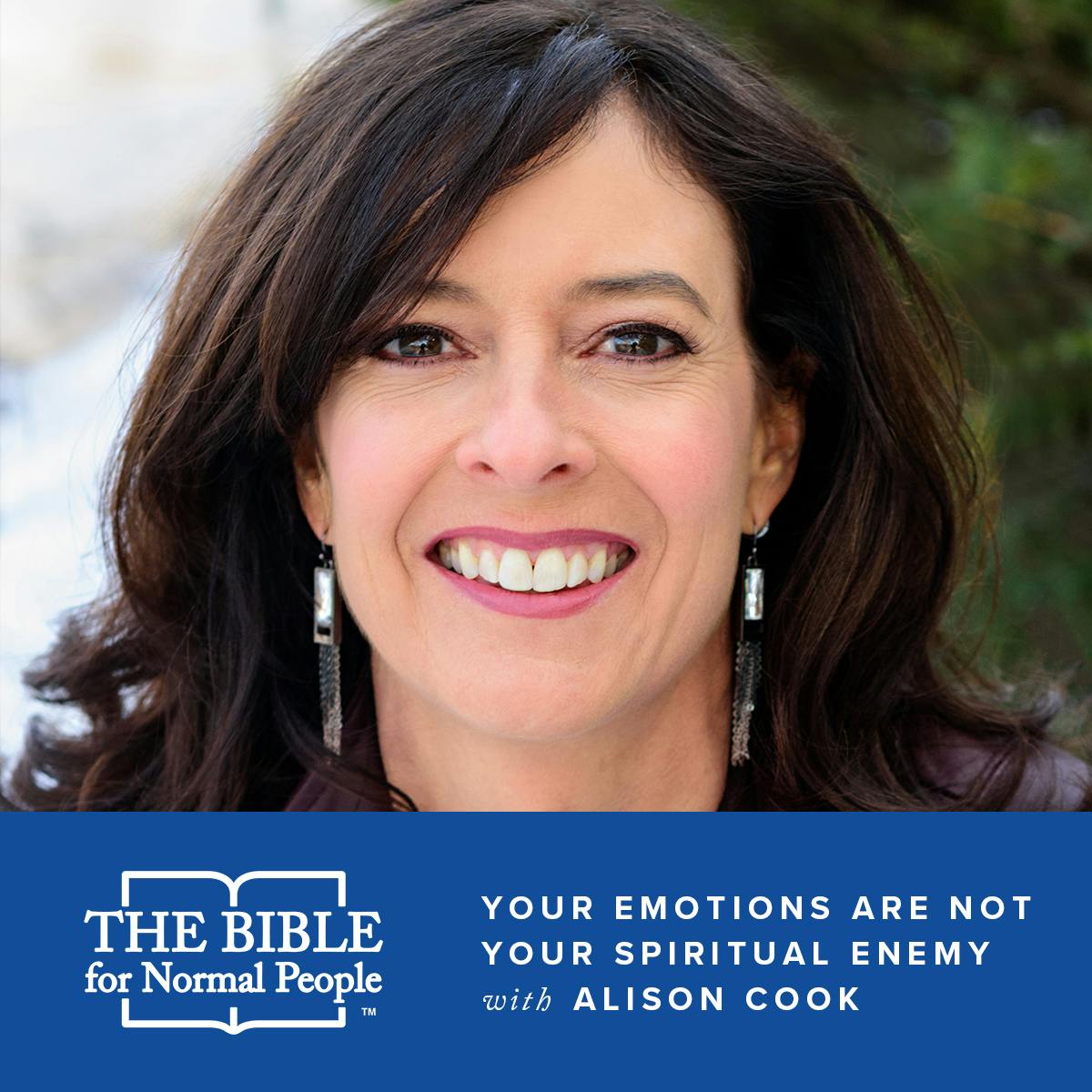 Episode 115: Alison Cook - Your Emotions Are Not Your Spiritual Enemy