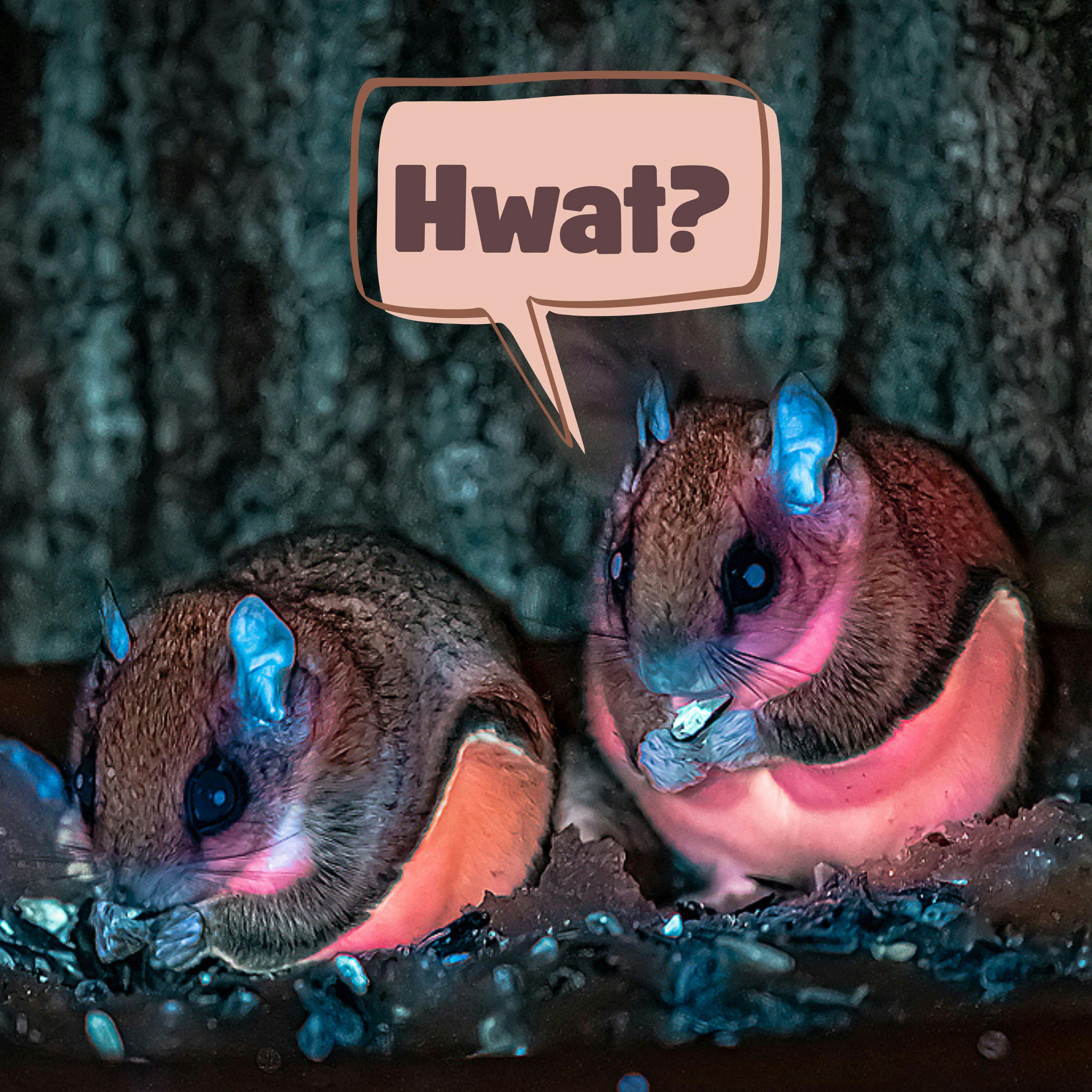 27: My Whole Life is Wait Now What About Frogs 27: My Whole Life is Wait Now What About Frogs