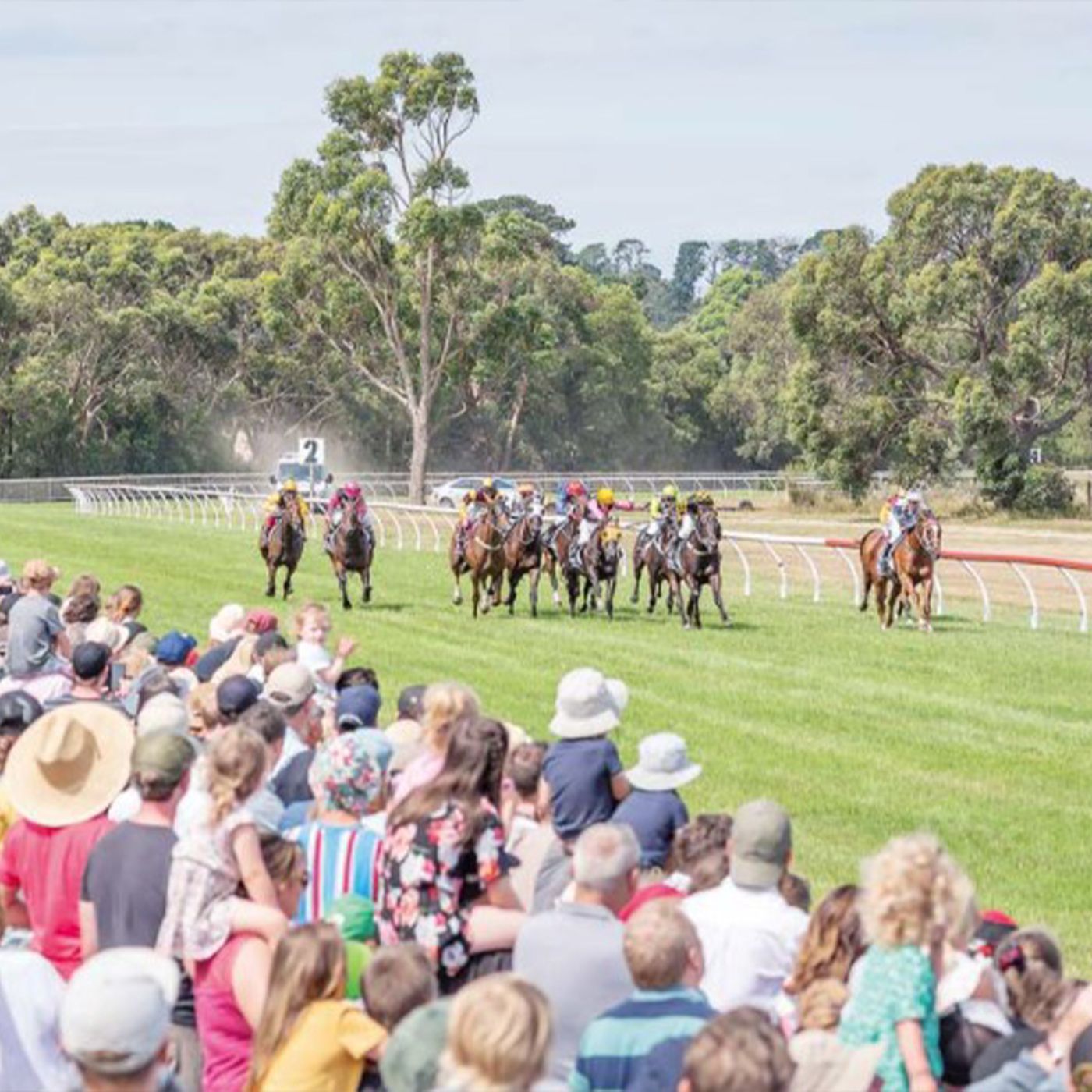 Balnarring Racing Club Terry Mulcahy chats to Andrew Kuuse re Sundays meeting episode artwork