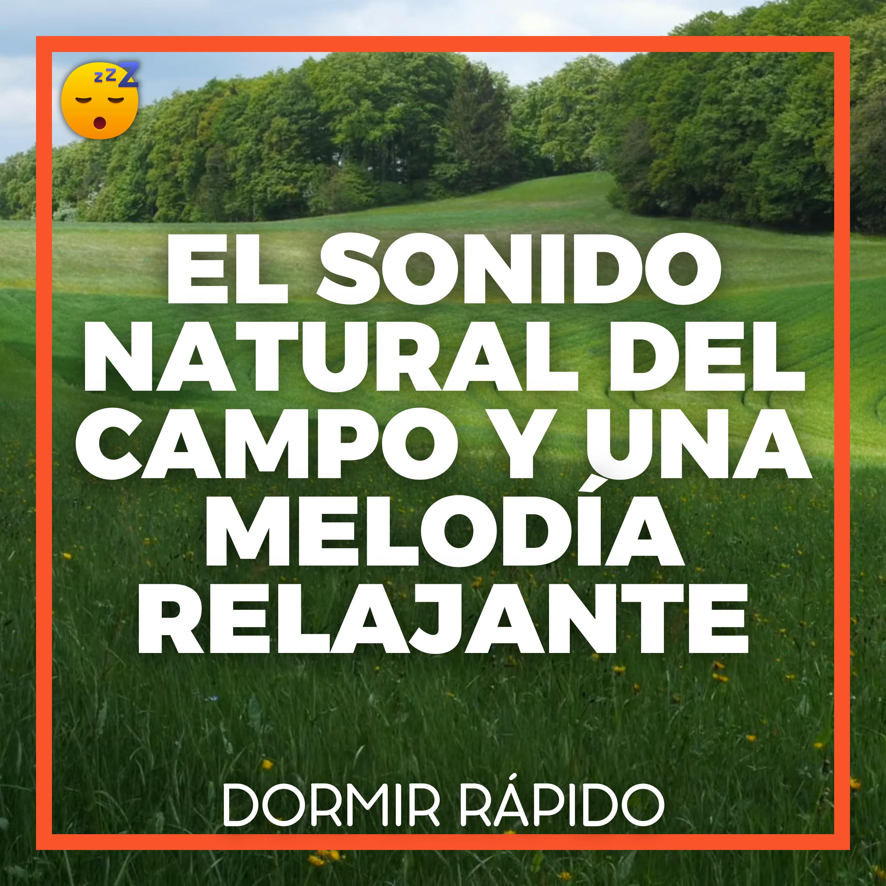 El Sonido Natural del CAMPO y una MELODÍA Relajante para DORMIR en Paz episode artwork