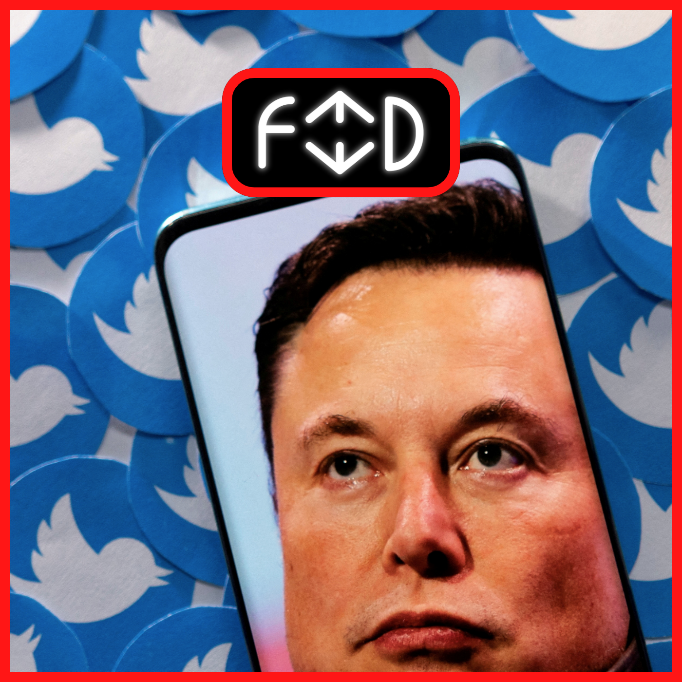 FEED - Elon Conquista Twitter: e ora che succede?