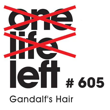 Gandalf's Hair - #605 Gandalf's Hair - #605