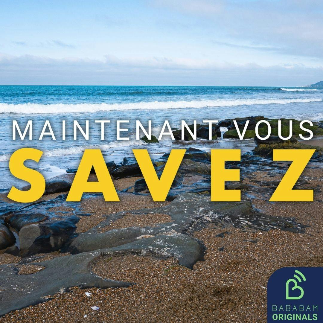 Qu’est-ce que la “plasticroûte”, cette nouvelle forme de pollution ? Qu’est-ce que la “plasticroûte”, cette nouvelle forme de pollution ?