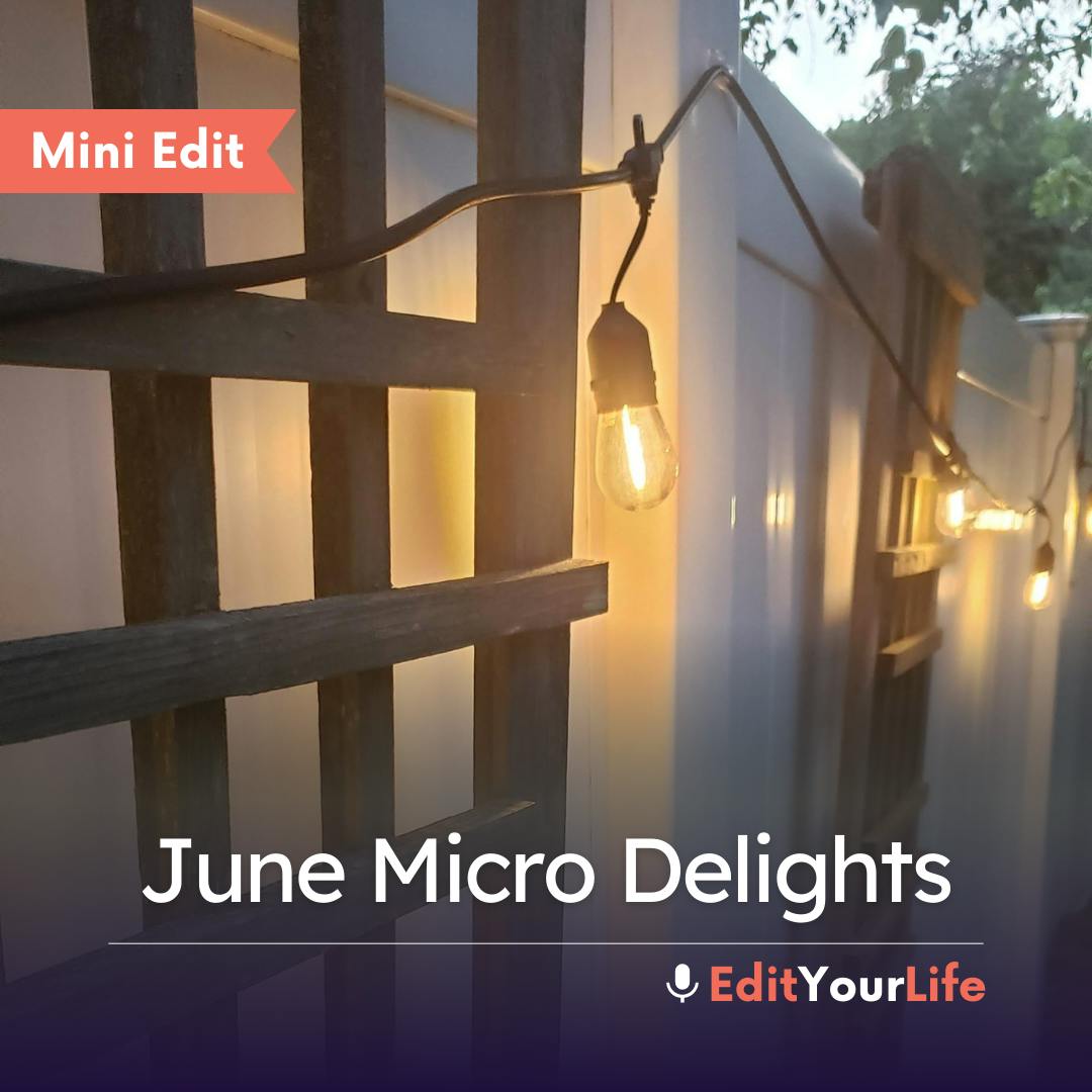 Mini Edit: June Micro Delights