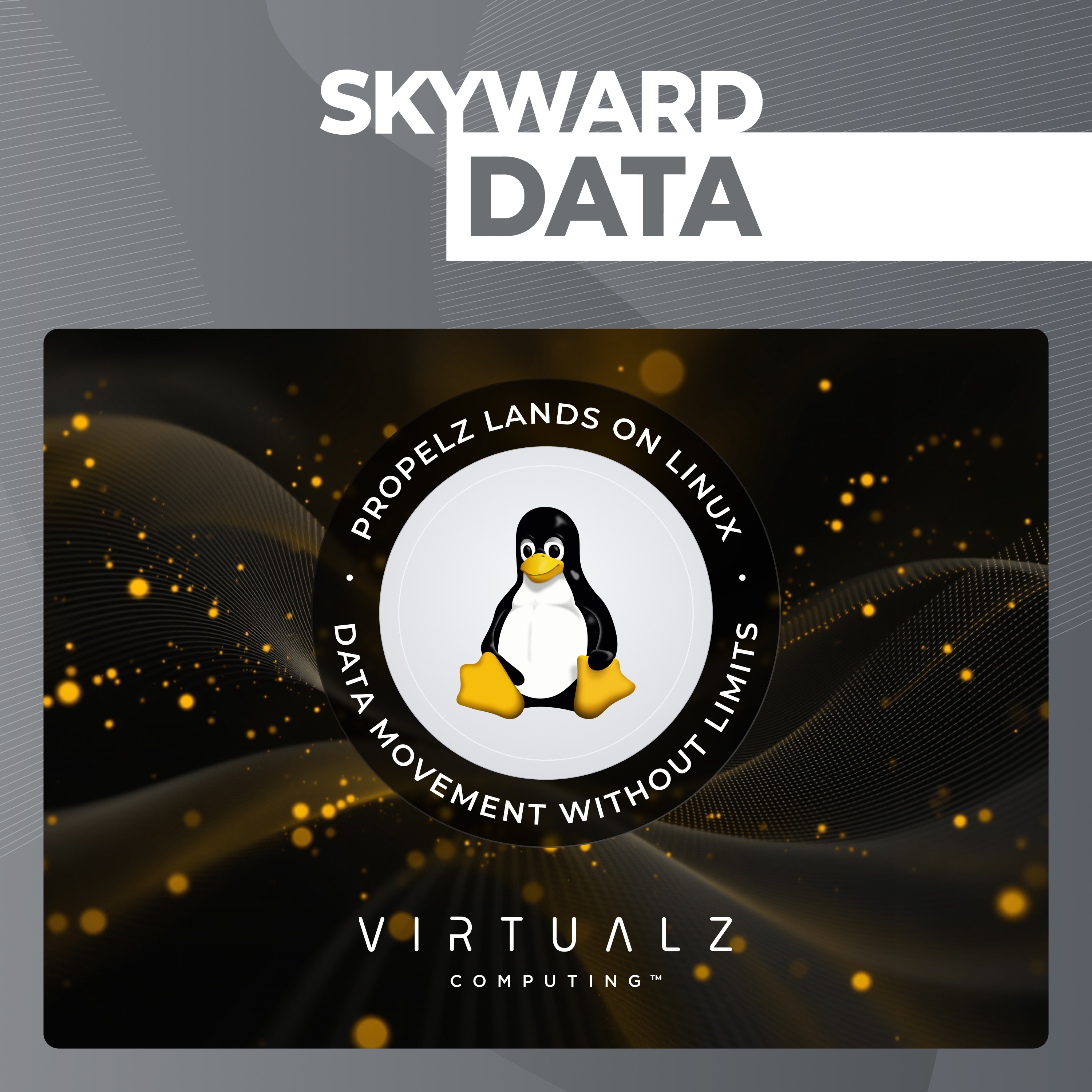 Skyward Data