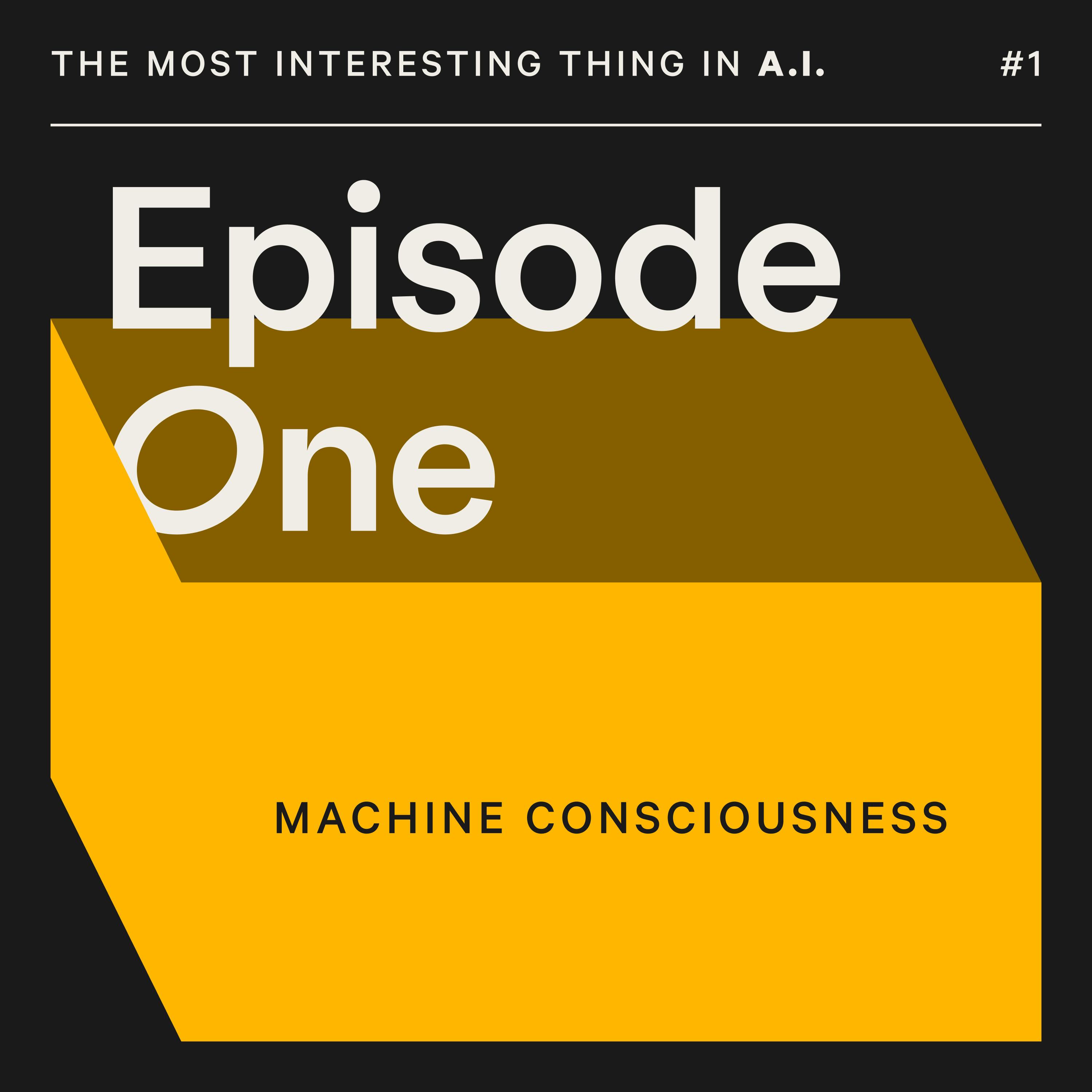 Machine Consciousness - with Nicholas Thompson and Geoffrey Hinton Machine Consciousness - with Nicholas Thompson and Geoffrey Hinton