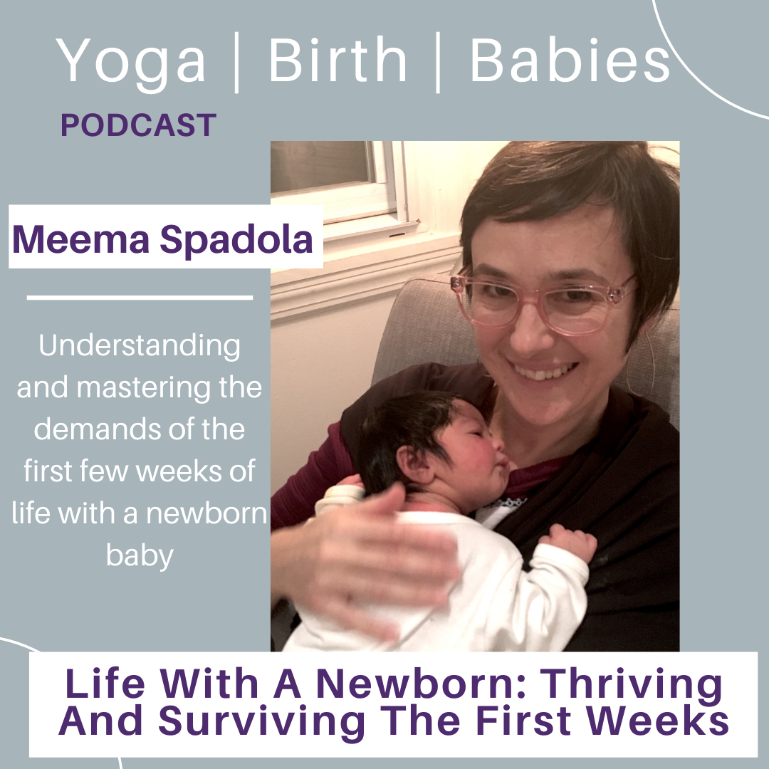 Life With A Newborn: Thriving And Surviving The First Weeks With Meema Spadola. episode artwork