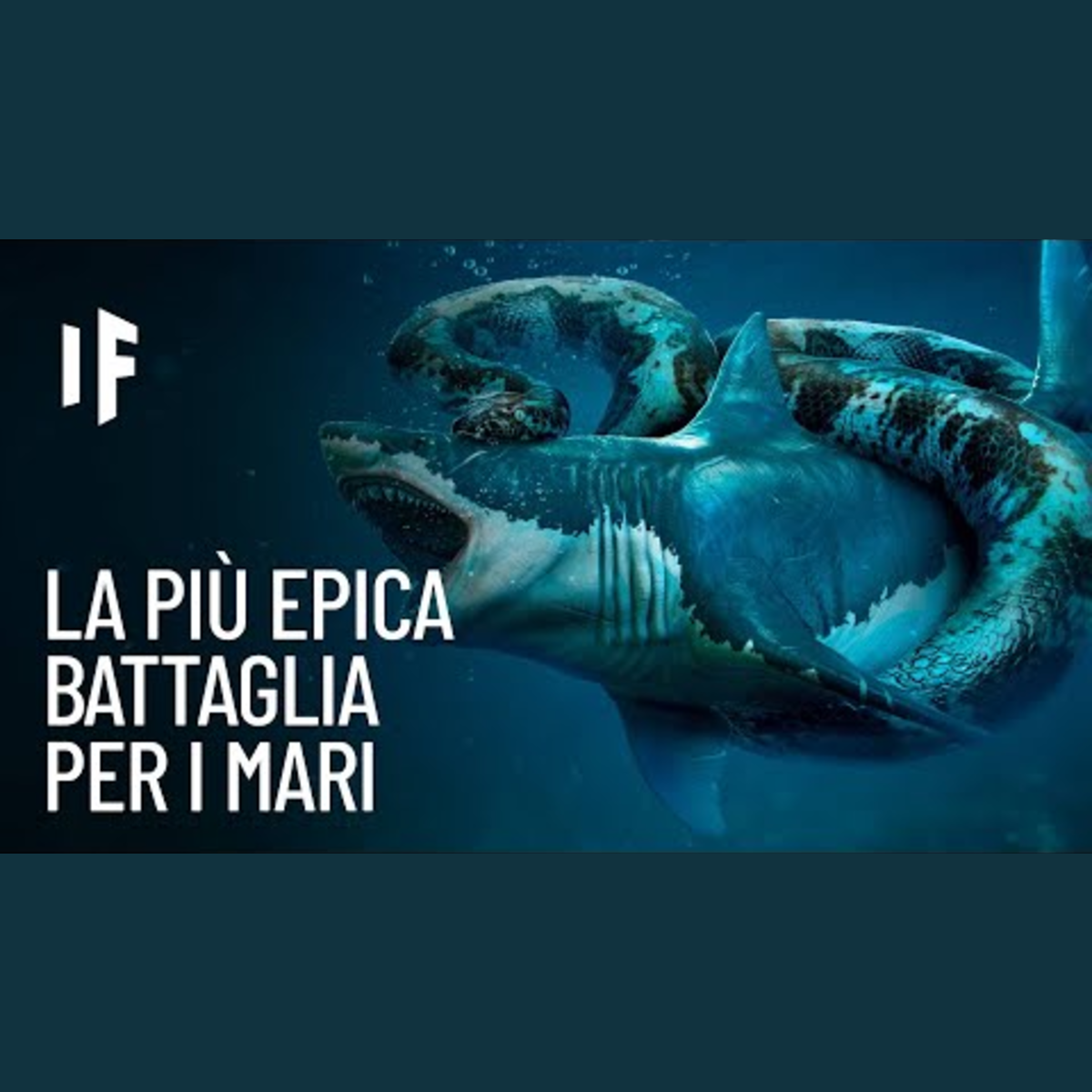E se un Megalodonte combattesse contro un Titanoboa? episode artwork