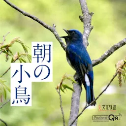 朝の小鳥