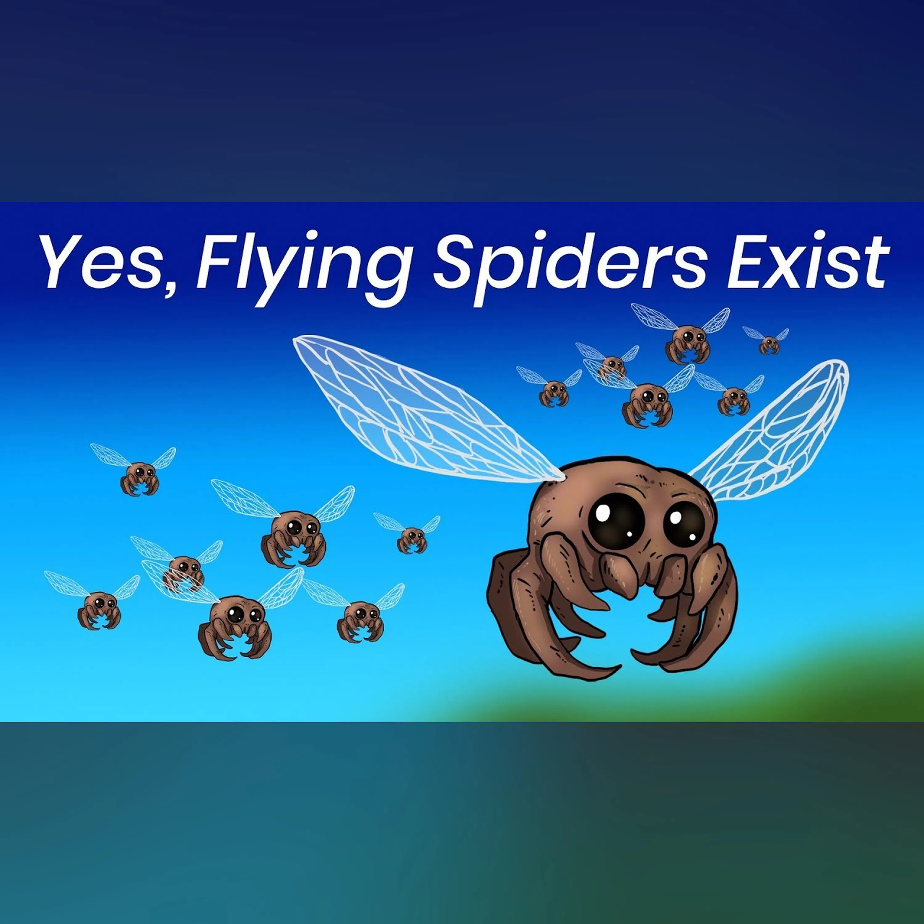 What If Spiders Had Wings?