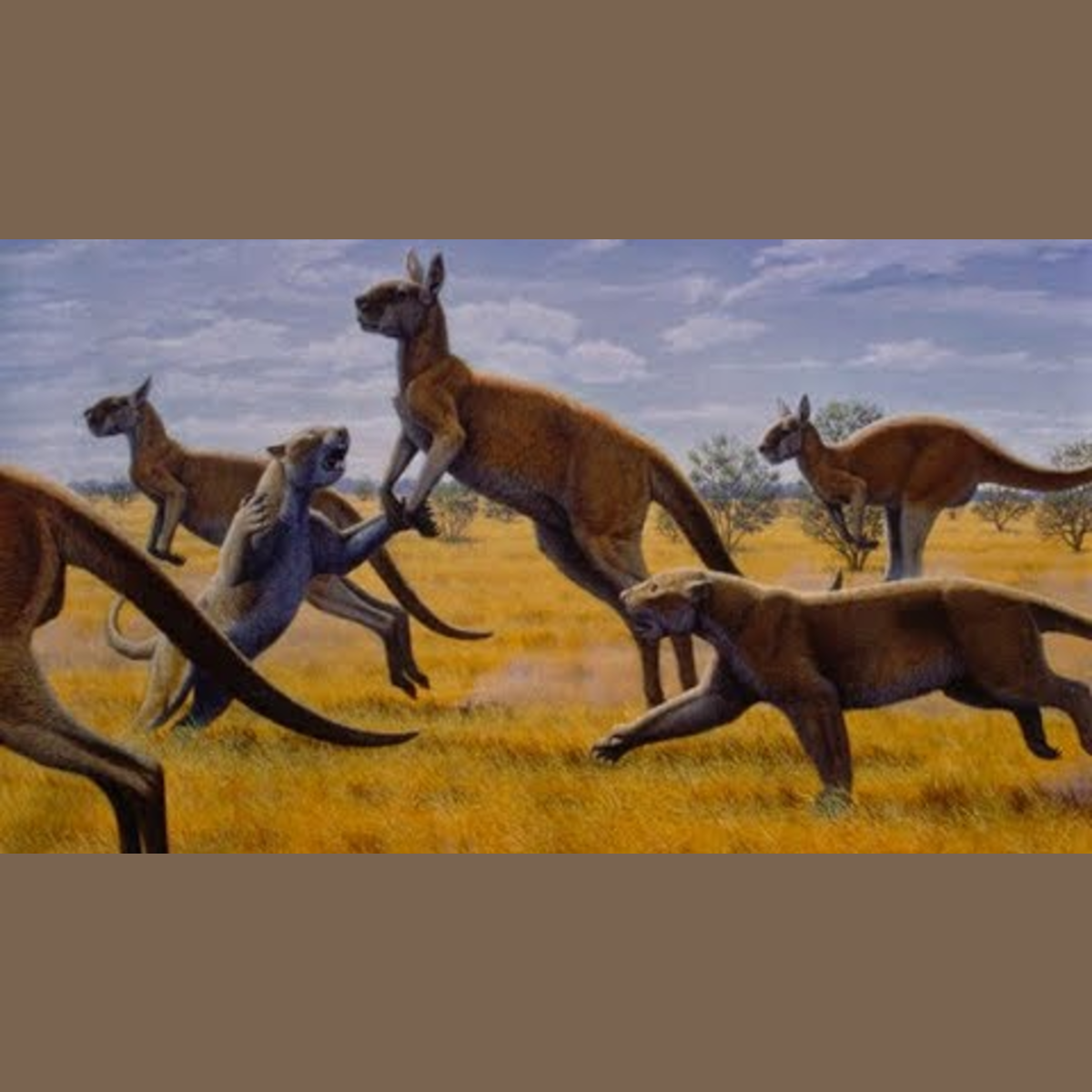The Beasts Down Under - Australia Documentary episode artwork