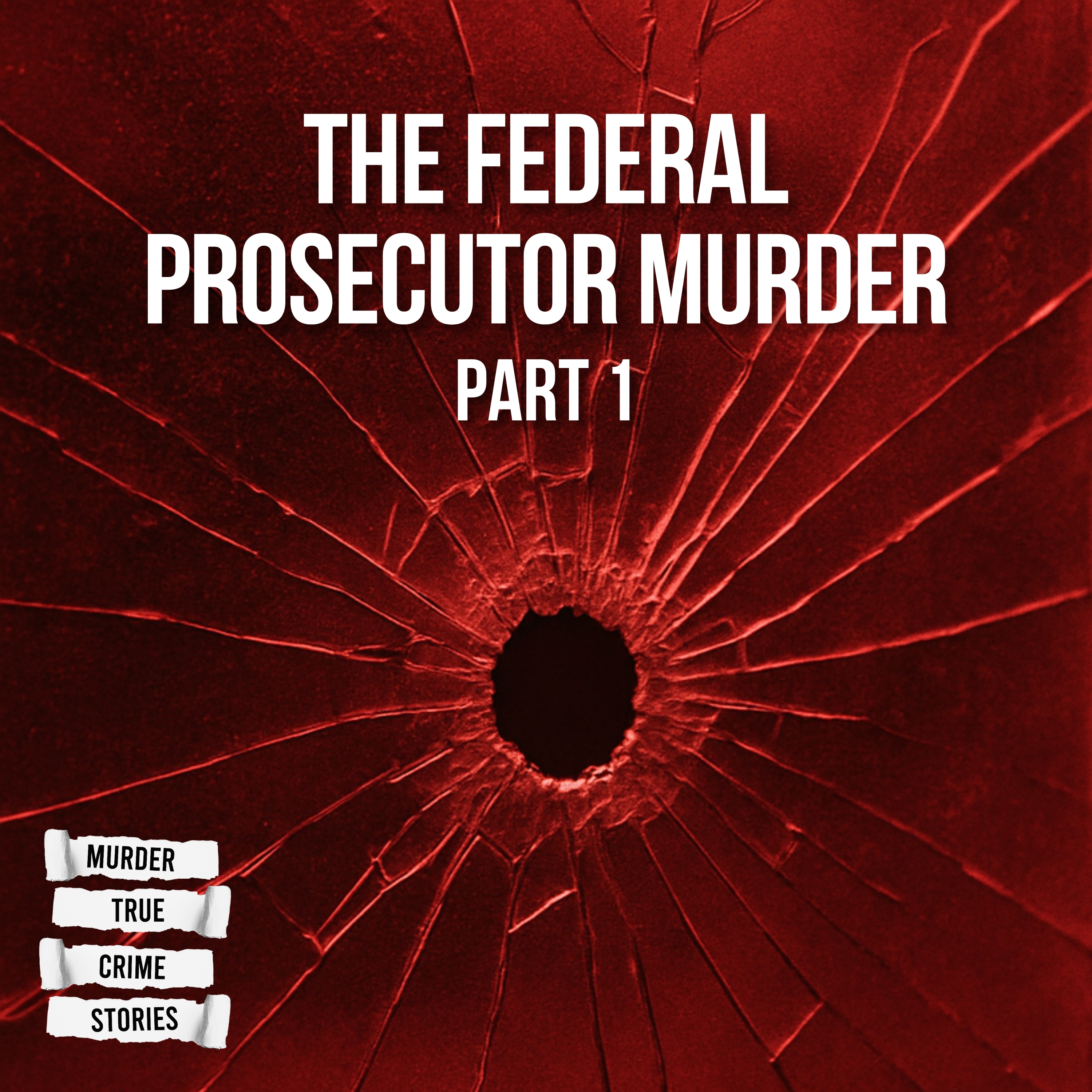 UNSOLVED: The Federal Prosecutor Murder 1