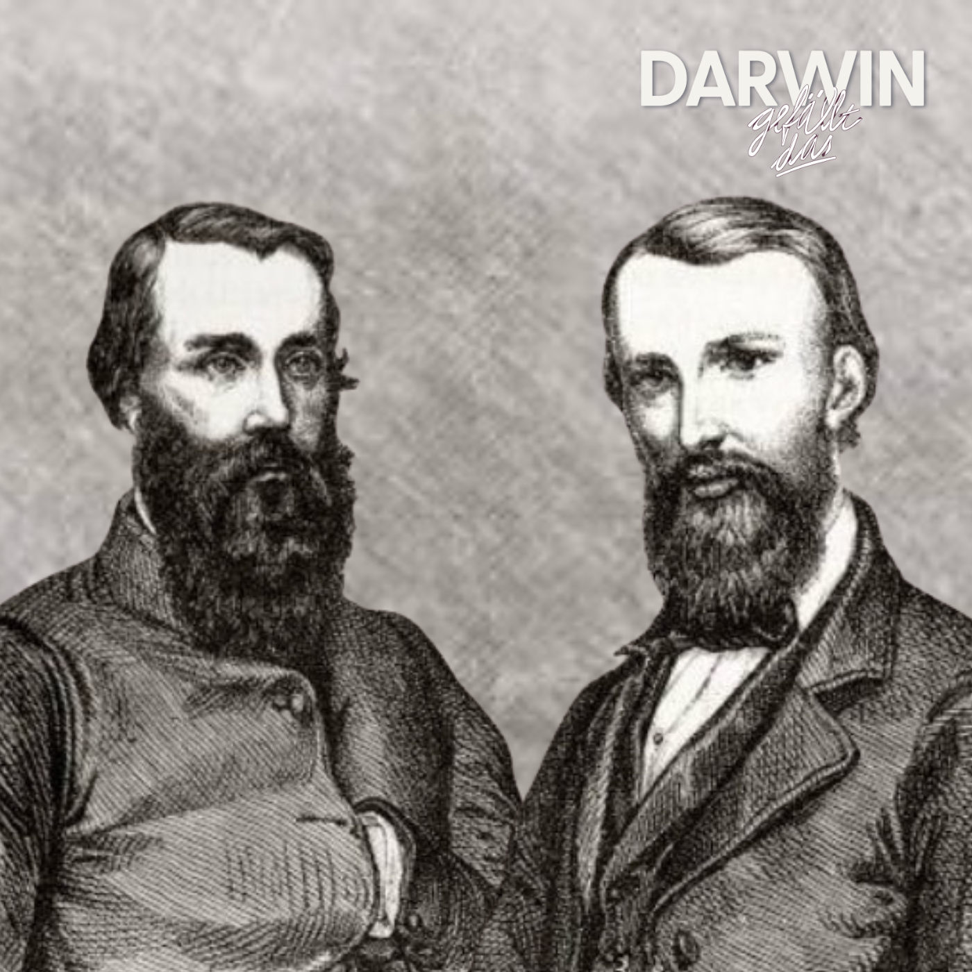 Ich bin kein Star, holt mich hier raus