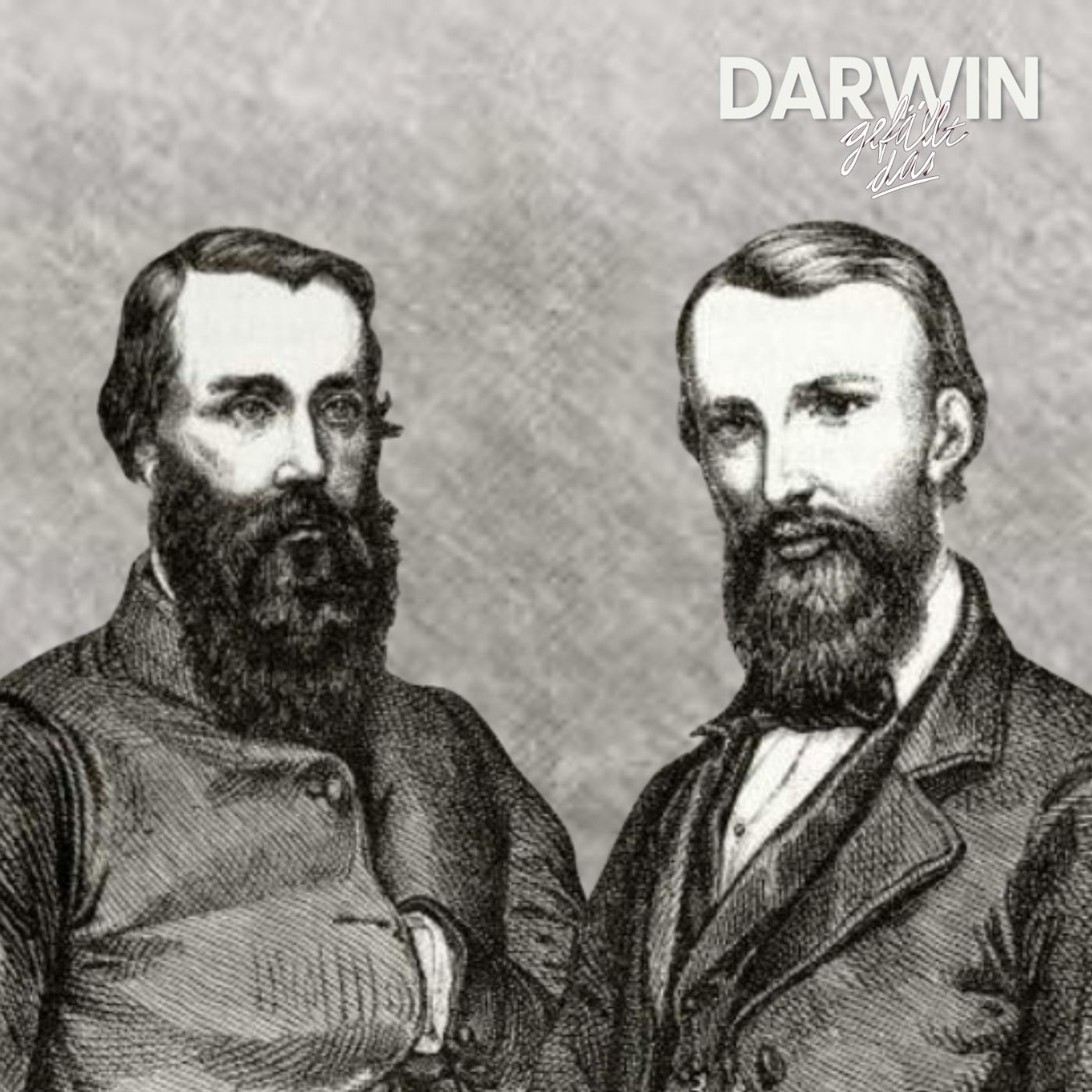 Ich bin kein Star, holt mich hier raus Ich bin kein Star, holt mich hier raus