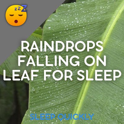 😴🌧️ RAINDROPS Falling on LEAF to HELP you SLEEP episode artwork