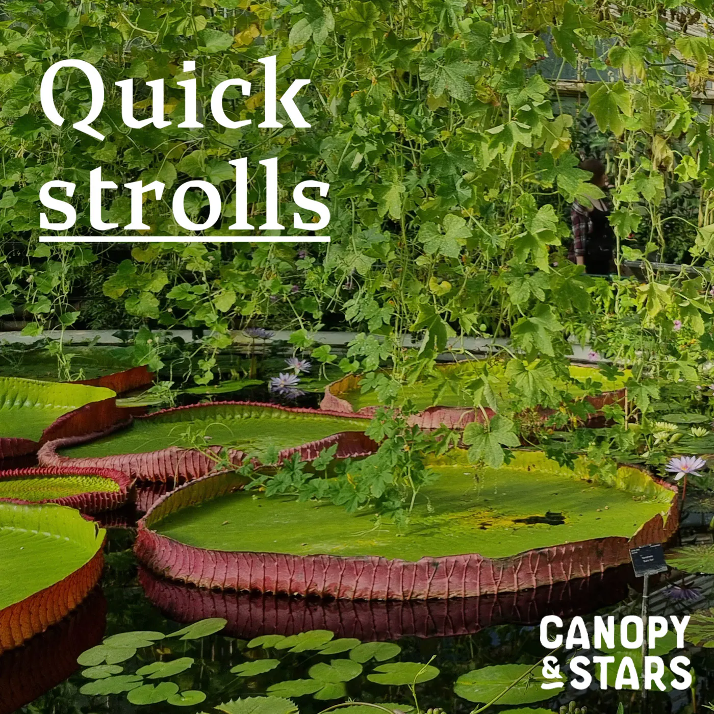Quick Strolls: Natural Design episode artwork