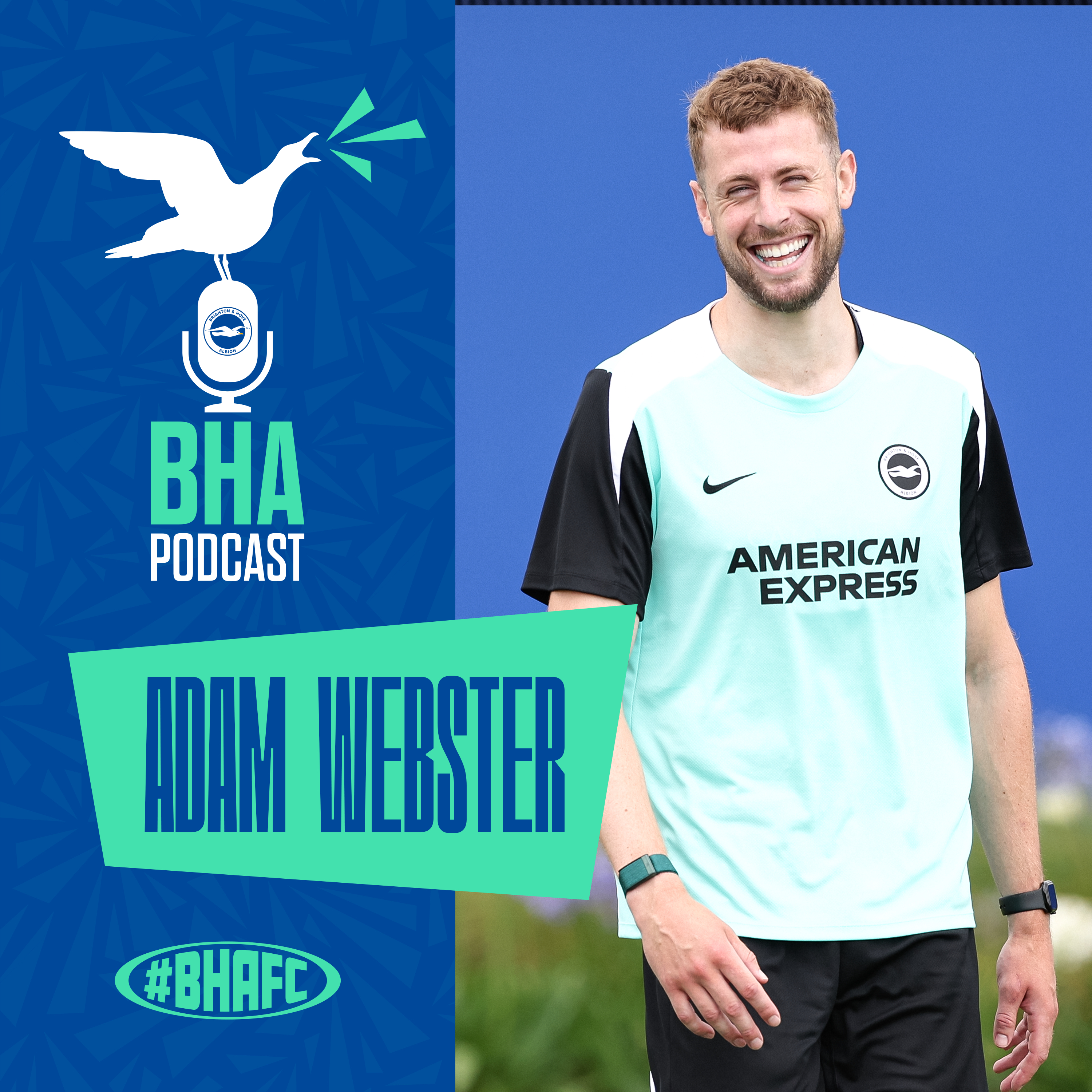 The Official Brighton and Hove Albion Podcast