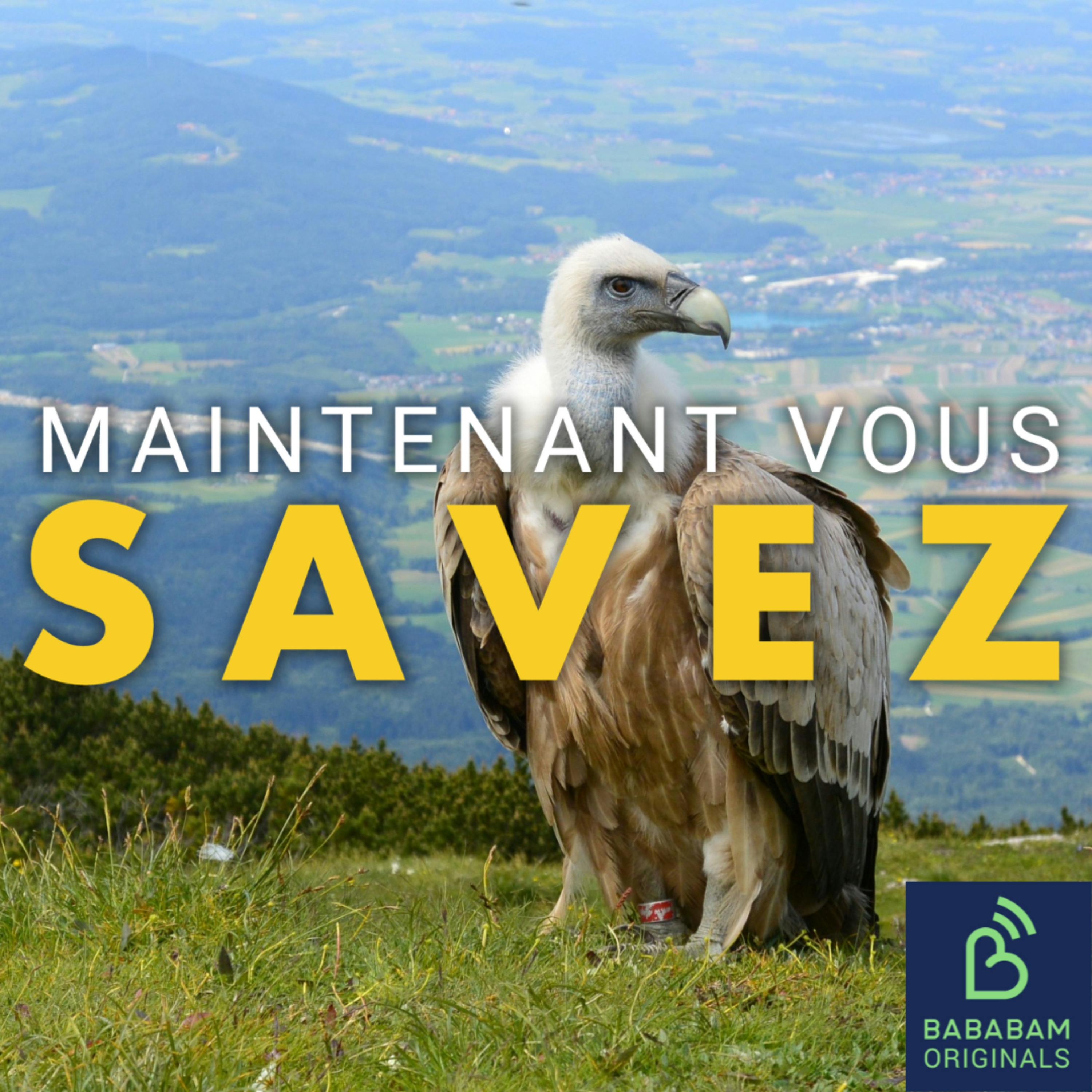 Maintenant, vous savez