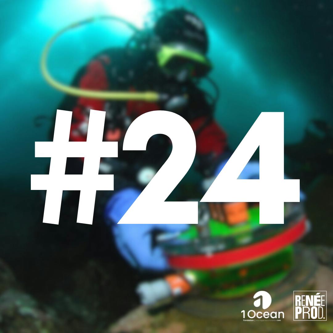 Plongeon avec les coquillages Plongeon avec les coquillages