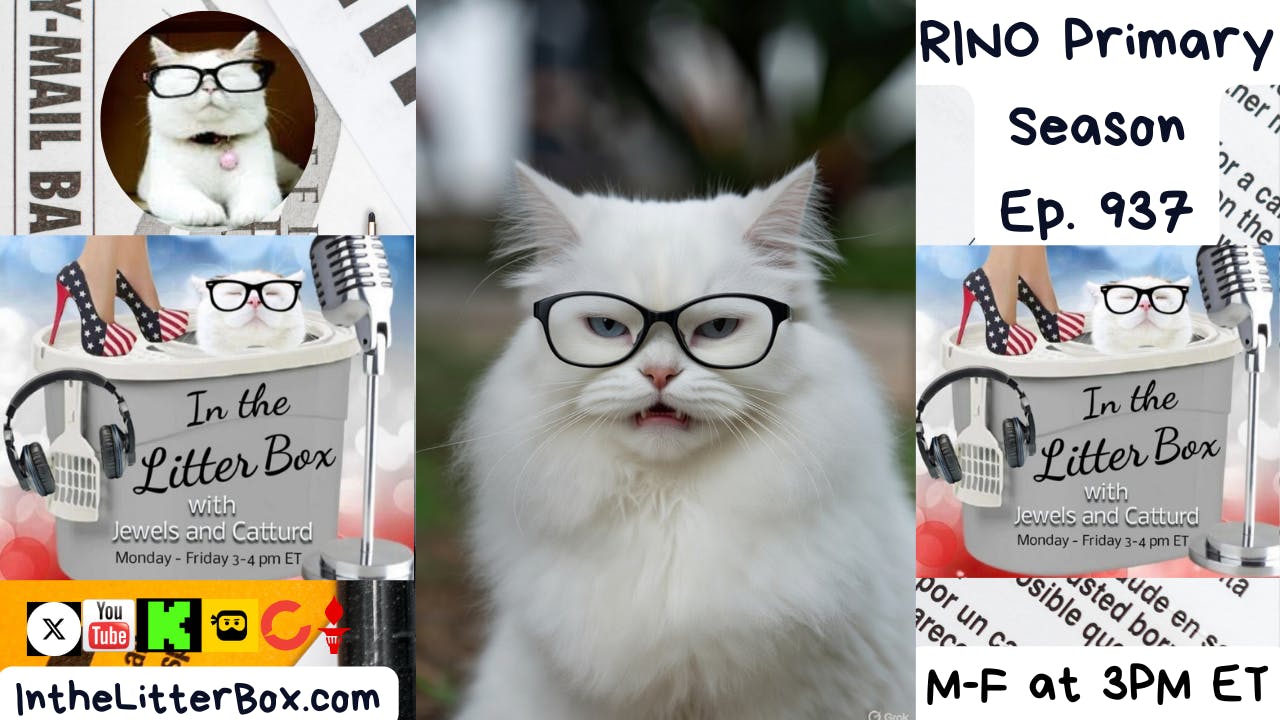 RINO Primary Season | In the Litter Box w/ Jewels & Catturd – Ep. 937 – 12/12/2025 RINO Primary Season | In the Litter Box w/ Jewels & Catturd – Ep. 937 – 12/12/2025