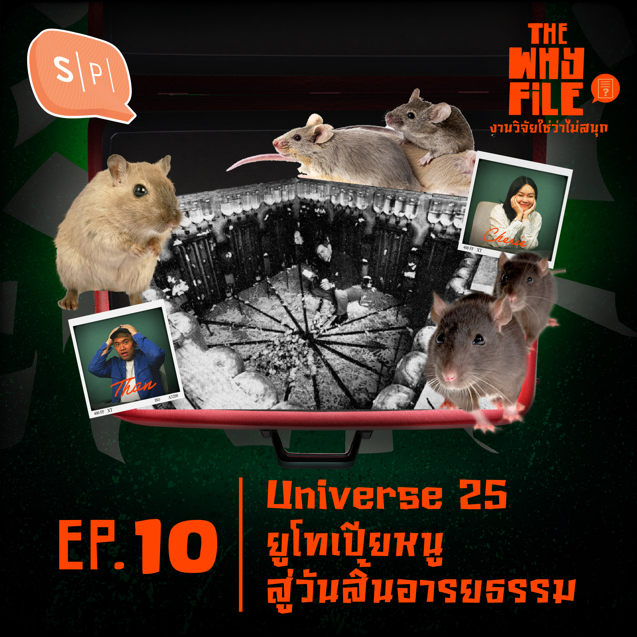 Universe 25 ยูโทเปียหนูสู่วันสิ้นอารยธรรม | The Why File EP10 [Season Finalé]