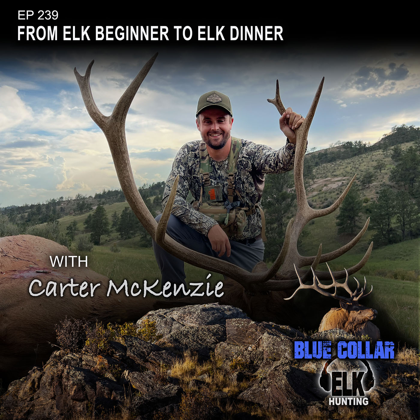 EP 239: Elk Beginner to Elk Dinner - Carter McKenzie