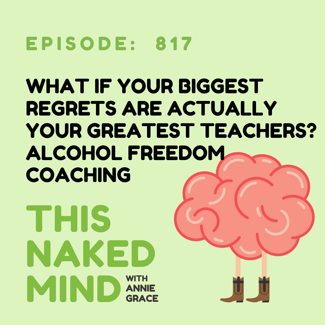 What If Your Biggest Regrets Are Actually Your Greatest Teachers? | Alcohol Freedom Coaching | E817