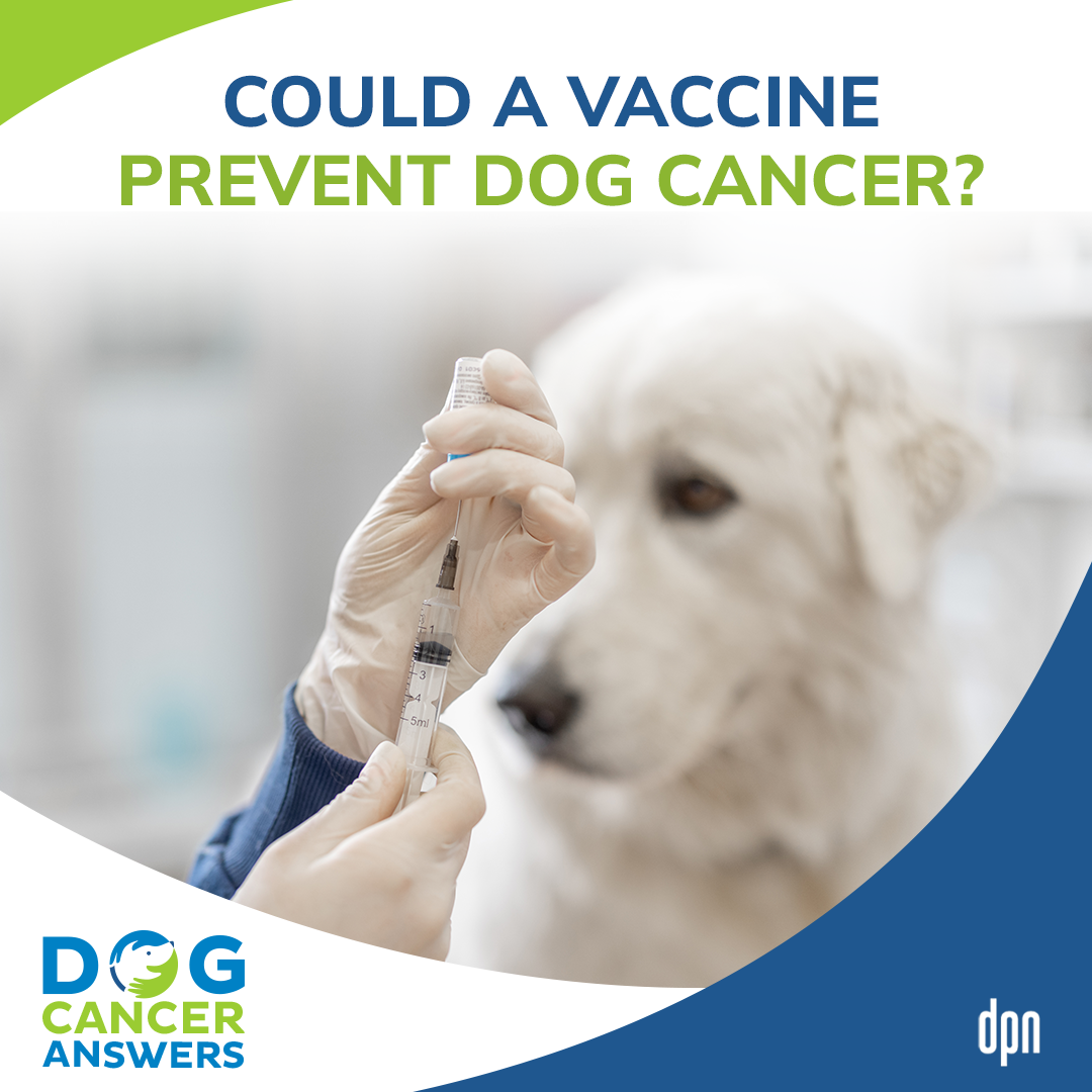 Could a Vaccine Prevent Dog Cancer? │ Dr. Nancy Reese #95