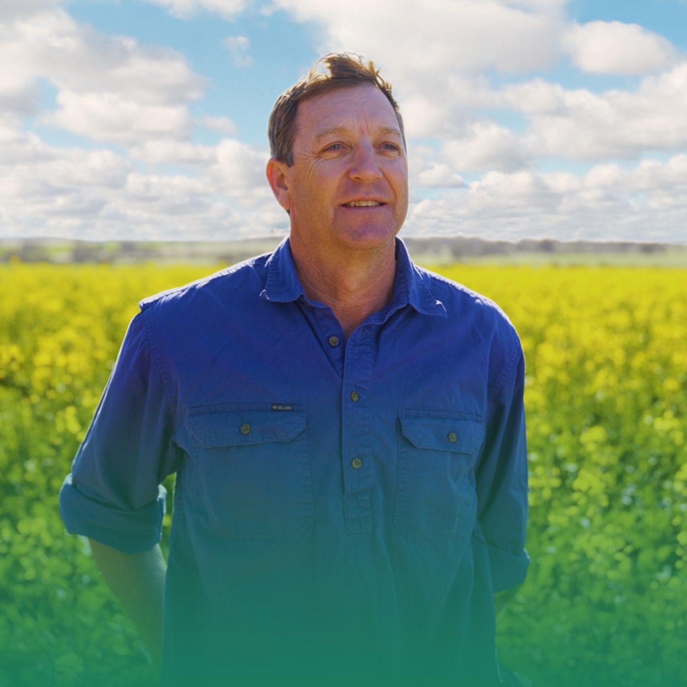 Predicting weeds using multi-layer analytics