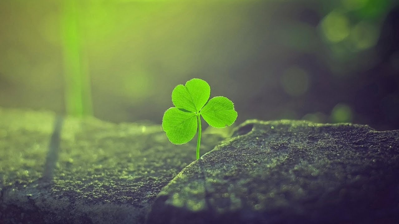 Life's Unfair | The Happiness Dilemma | How Much Of Success Is Luck? | MagnatesMedia episode artwork