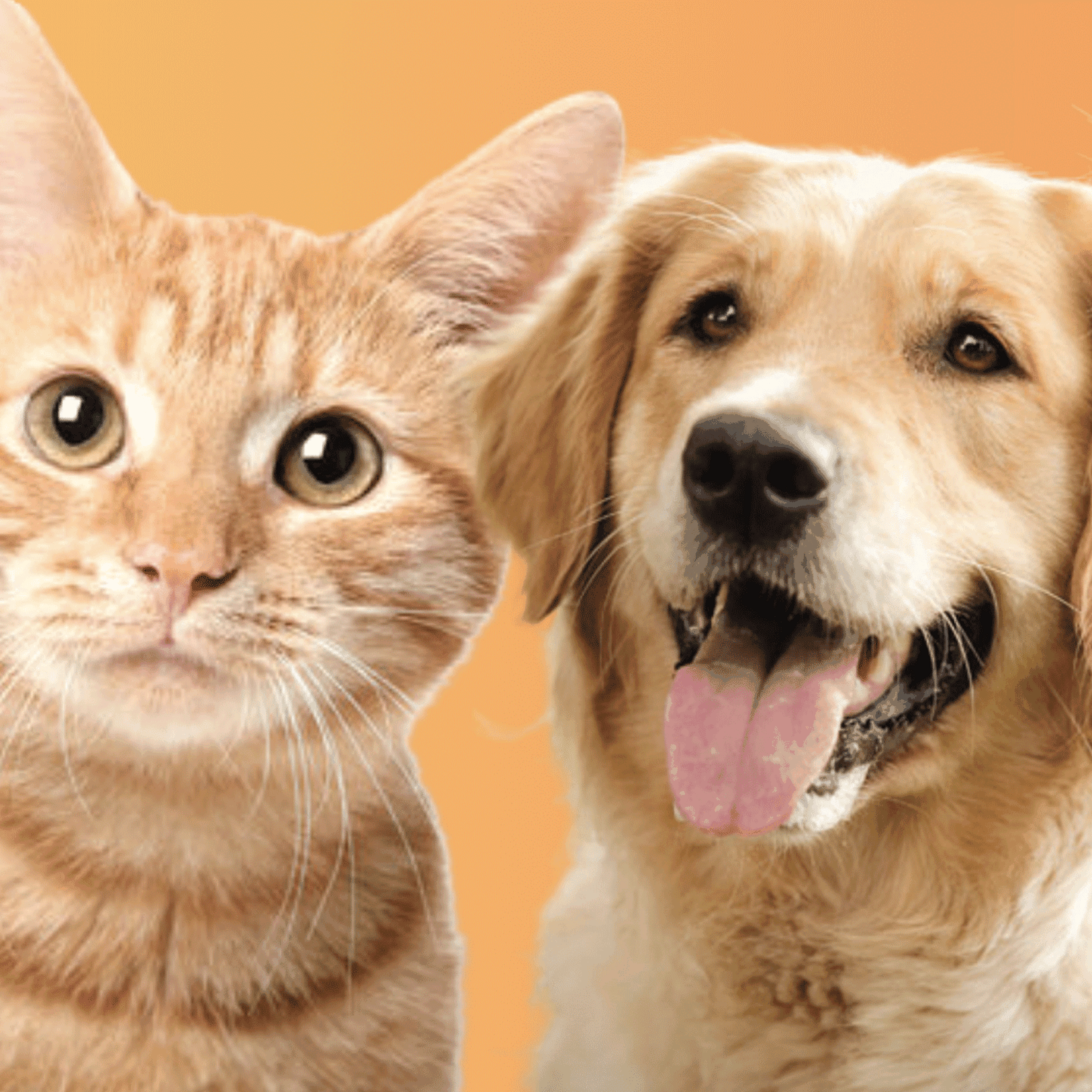 Cats vs Dogs, with John Gray and Will Self, Part 1