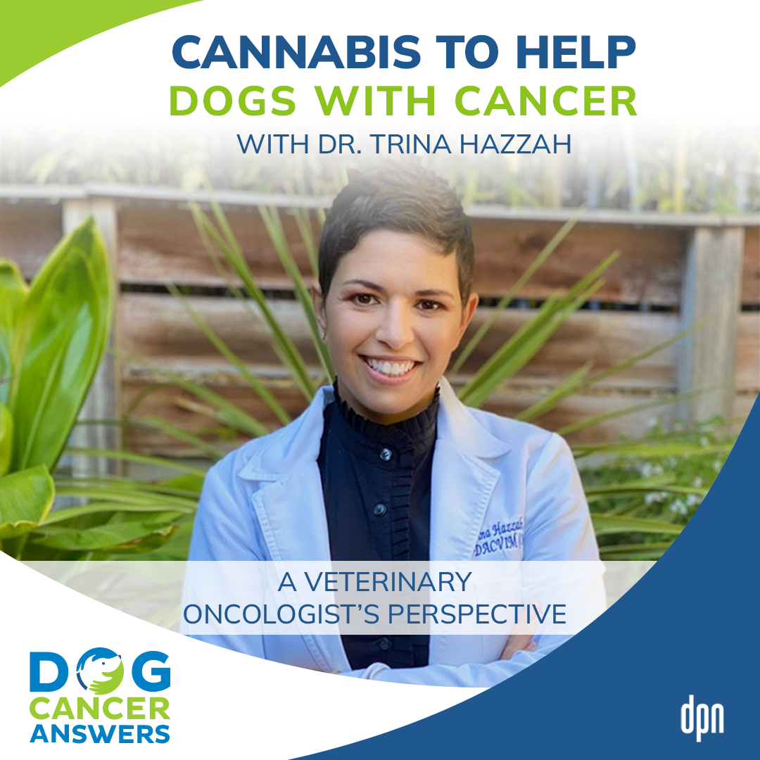 Cannabis to Help Dogs with Cancer – A Veterinary Oncologist Perspective | Dr. Trina Hazzah #92