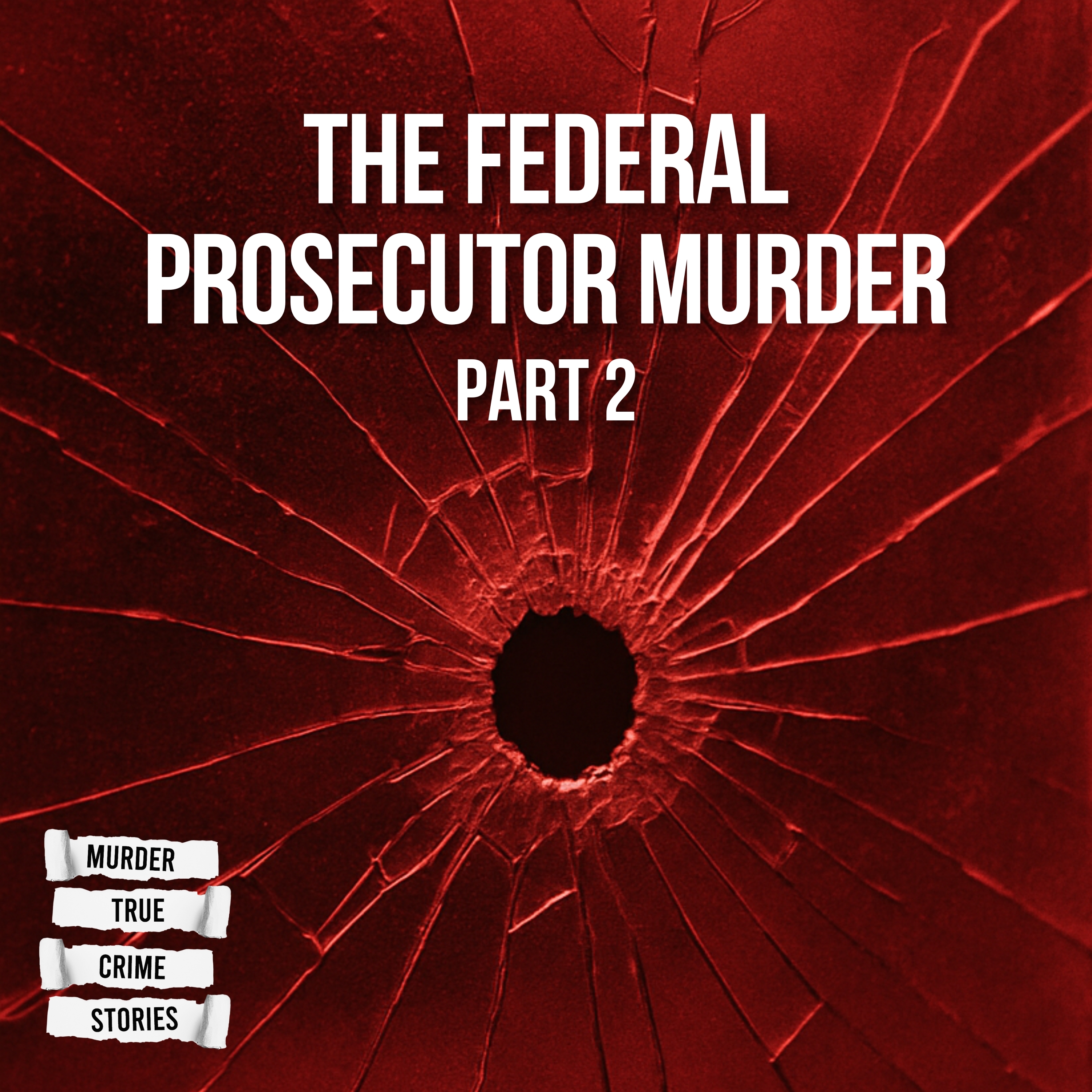 UNSOLVED: The Federal Prosecutor Murder 2