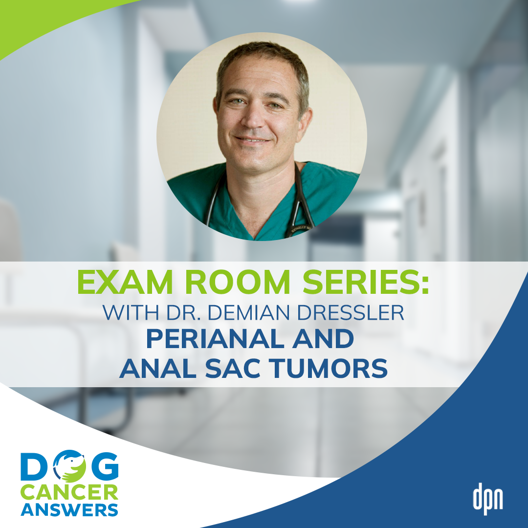 Exam Room Series: Perianal and Anal Sac Tumors │ Dr. Demian Dressler #87