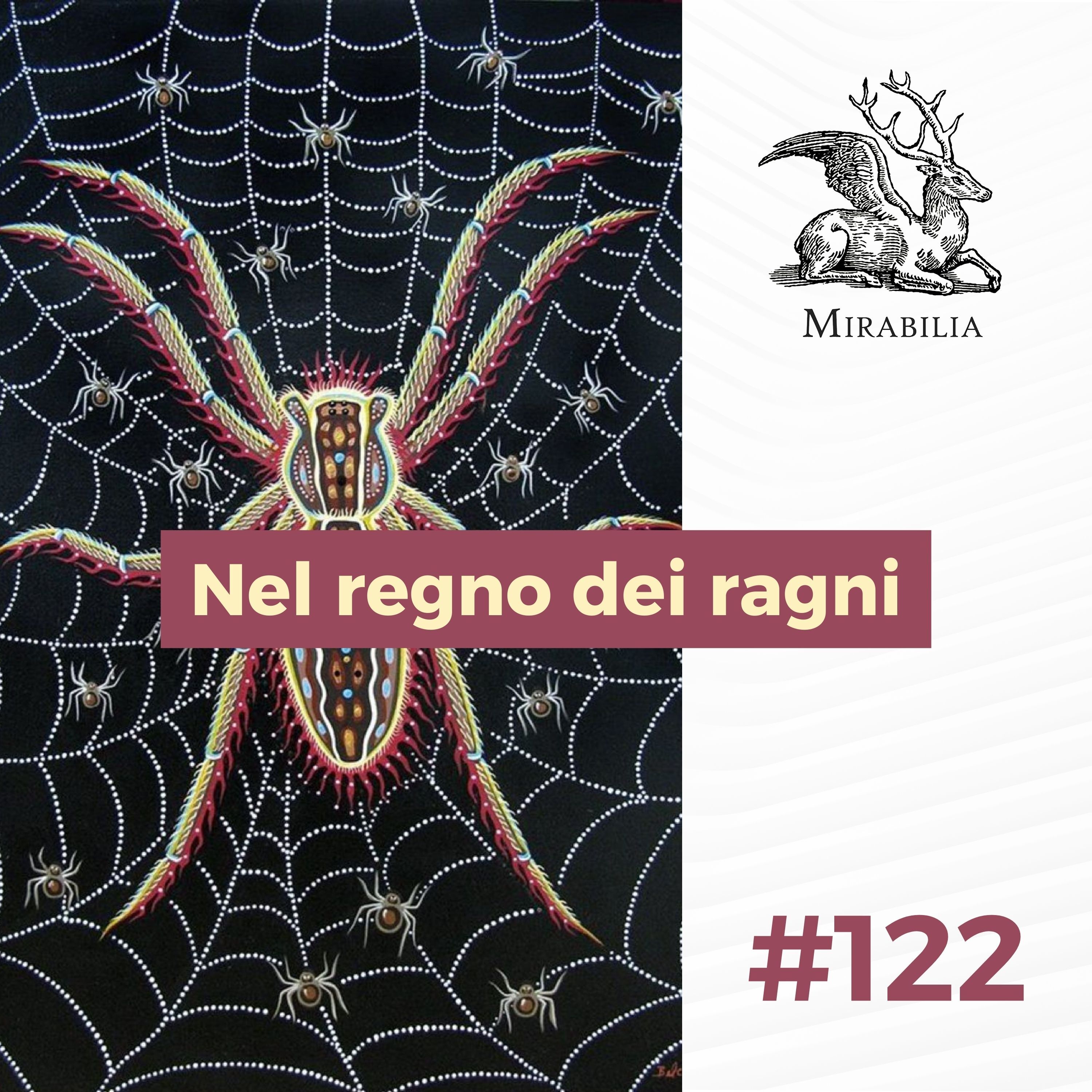 122. Nel regno dei ragni