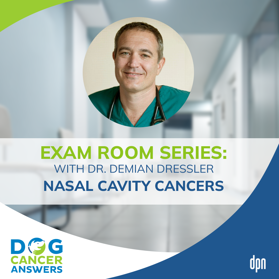 Exam Room Series: Nasal Cavity Cancers │ Dr. Demian Dressler #85