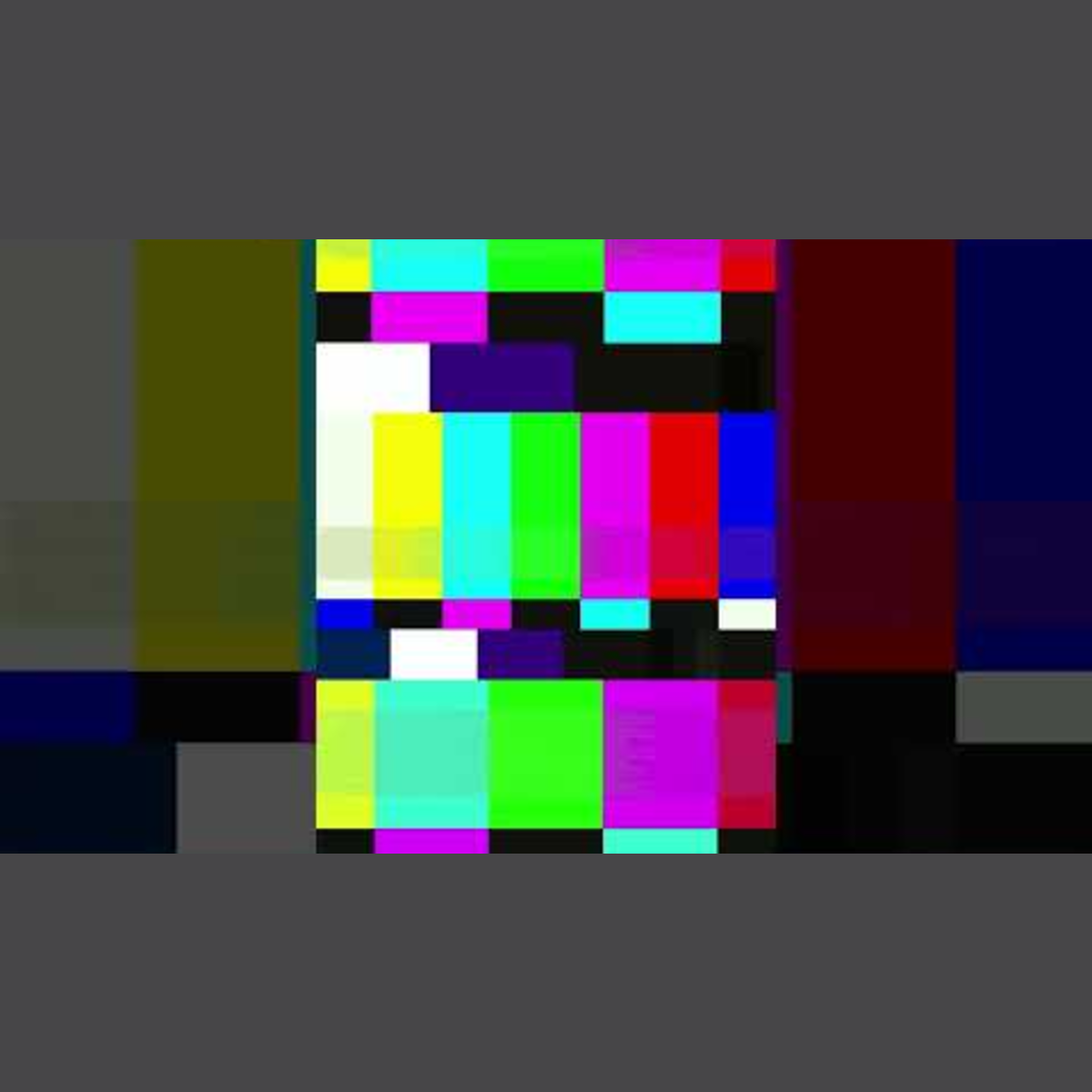 Animalogic En Español